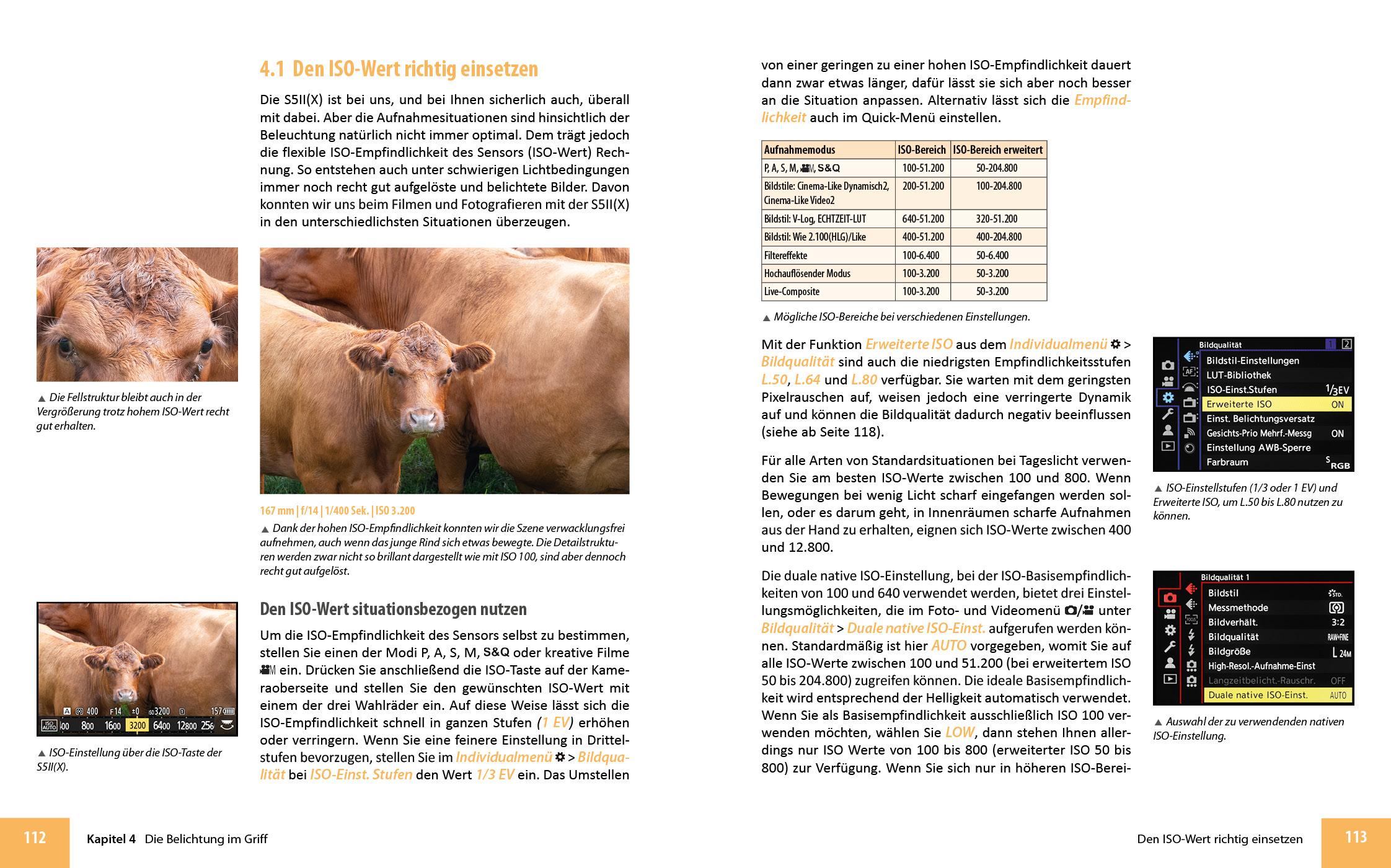 Beispielinhalt (Bild) Panasonic LUMIX DC-S5II / DC-S5II¿X: Das umfangreiche Praxisbuch zu Ihrer Kamera