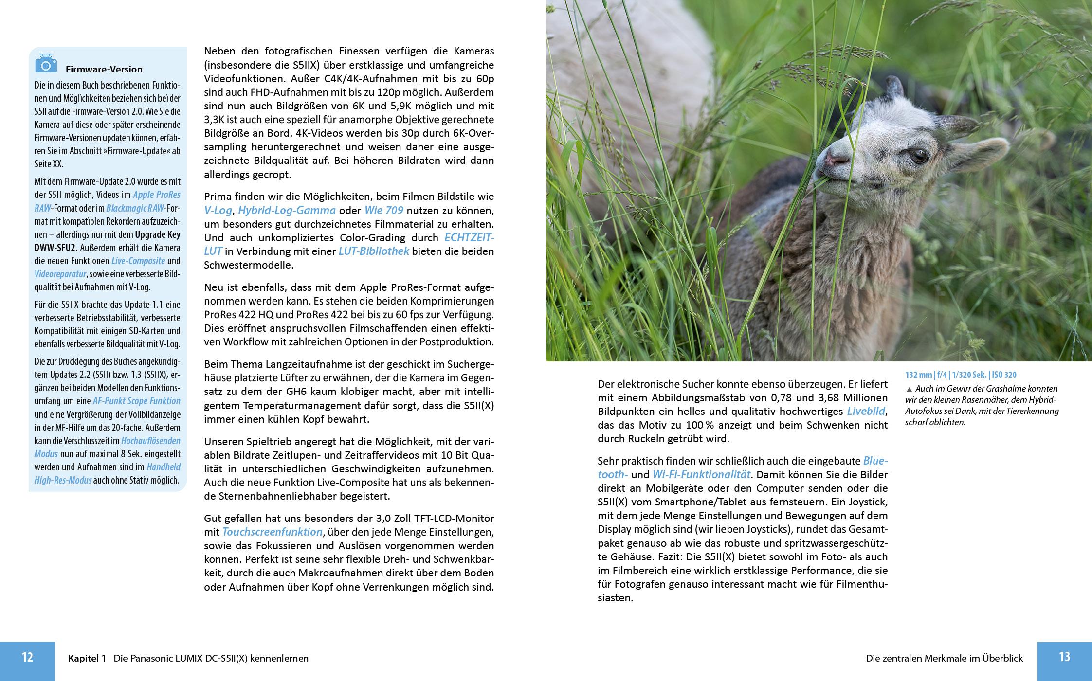 Beispielinhalt (Bild) Panasonic LUMIX DC-S5II / DC-S5II¿X: Das umfangreiche Praxisbuch zu Ihrer Kamera