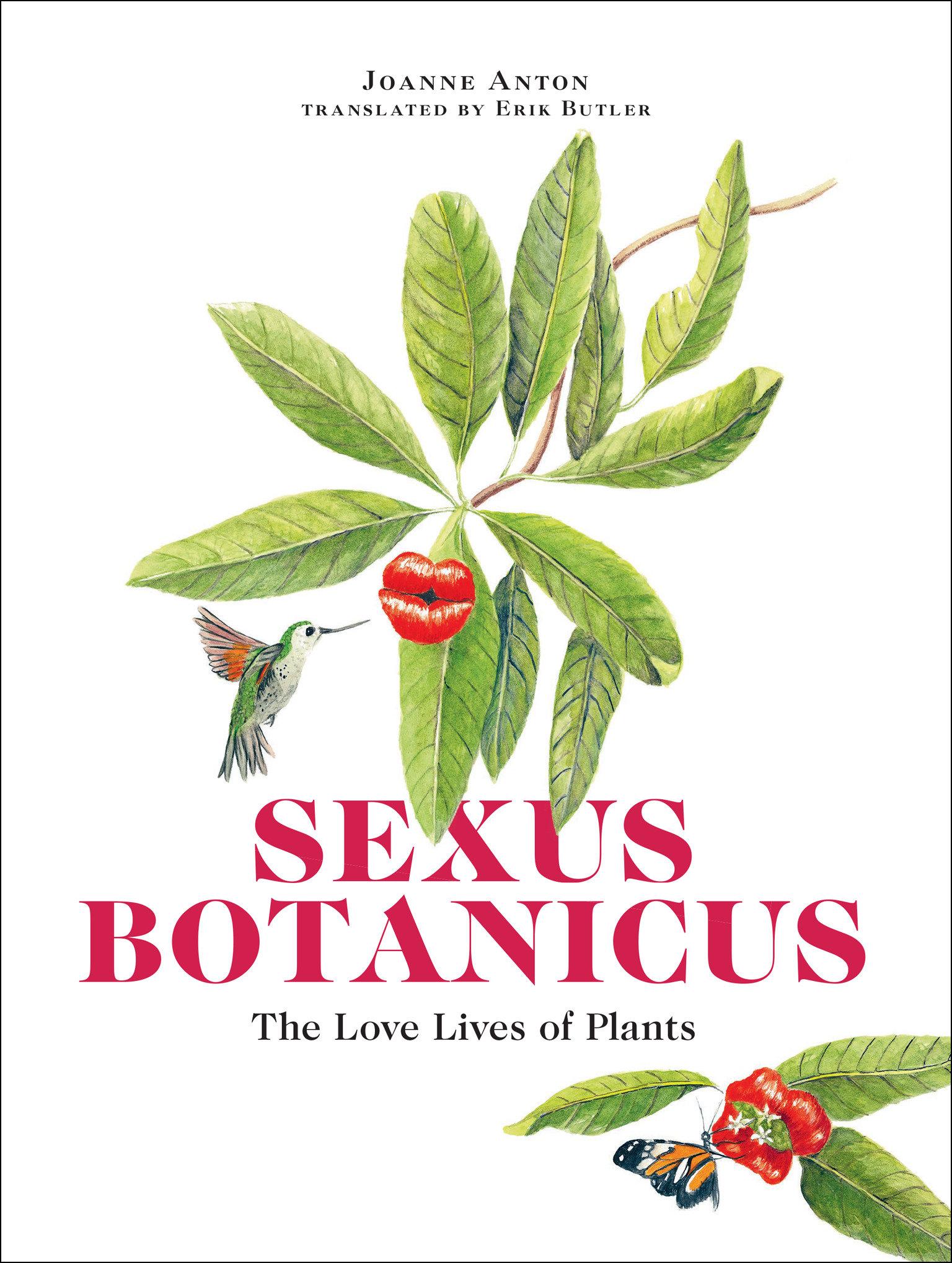 Vorderes Coverbild Sexus Botanicus