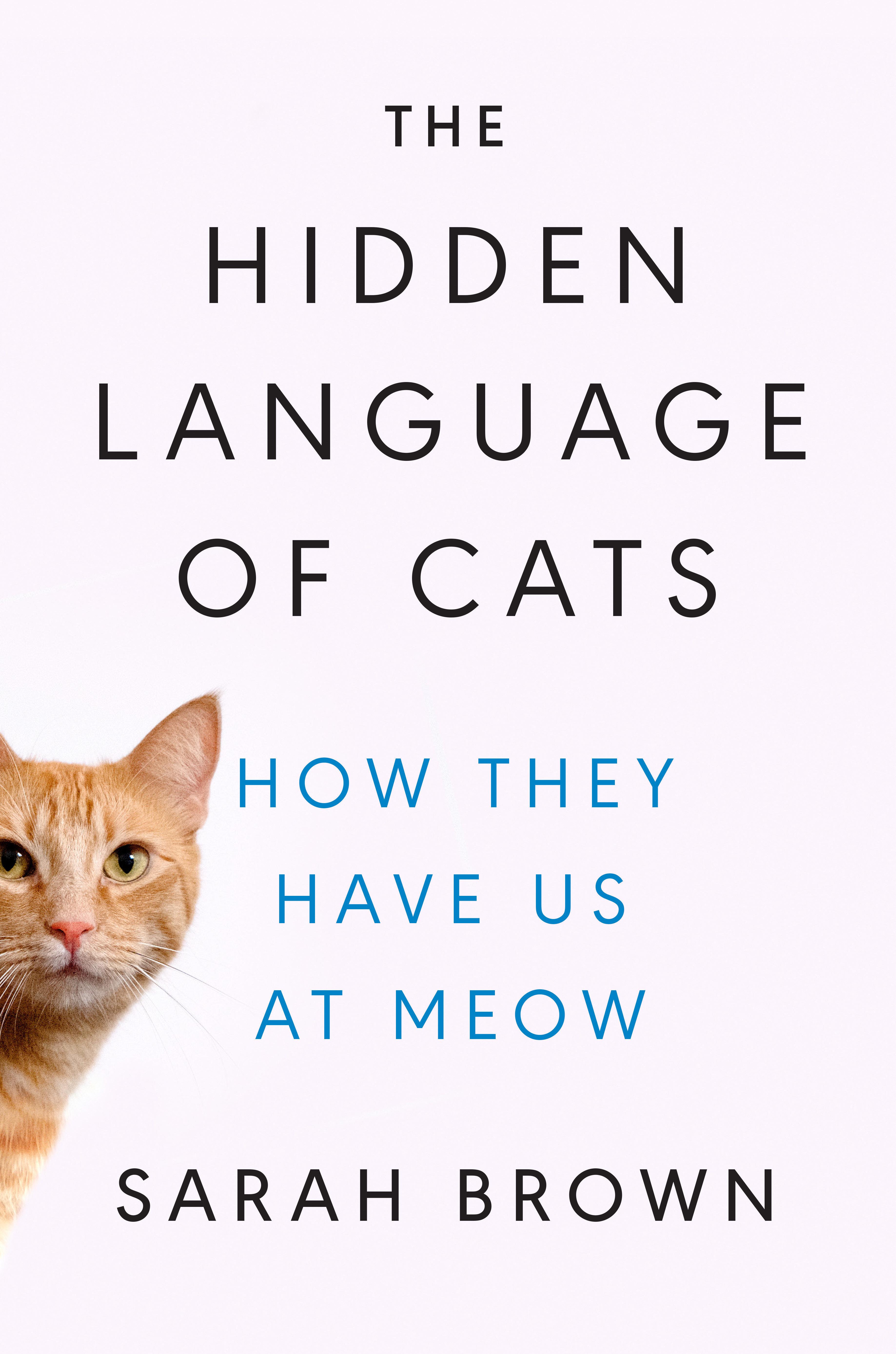 Vorderes Coverbild The Hidden Language of Cats
