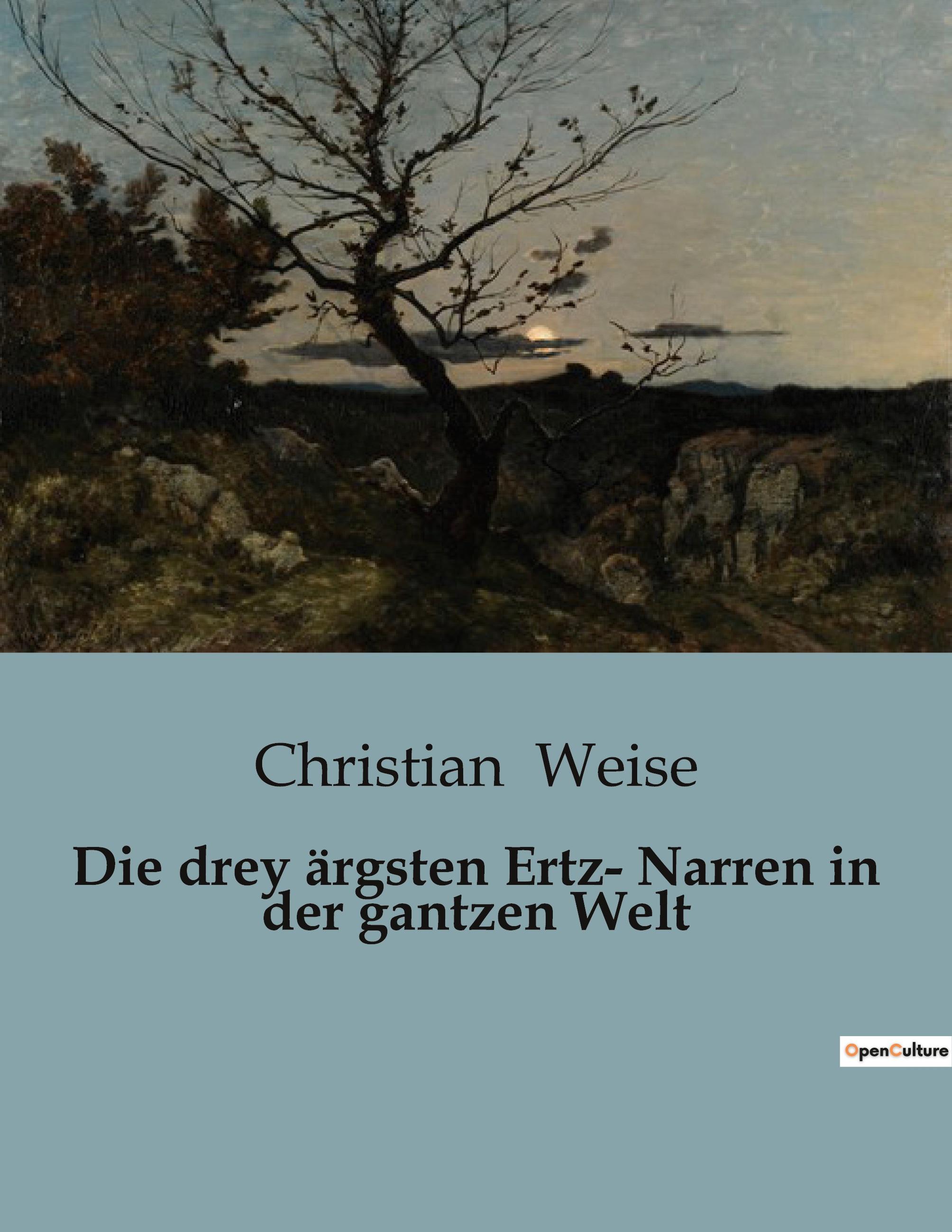 Vorderes Coverbild Die drey ärgsten Ertz- Narren in der gantzen Welt