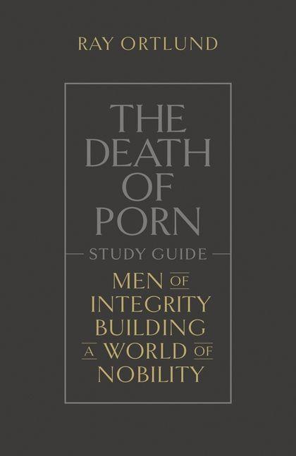 Vorderes Coverbild The Death of Porn Study Guide