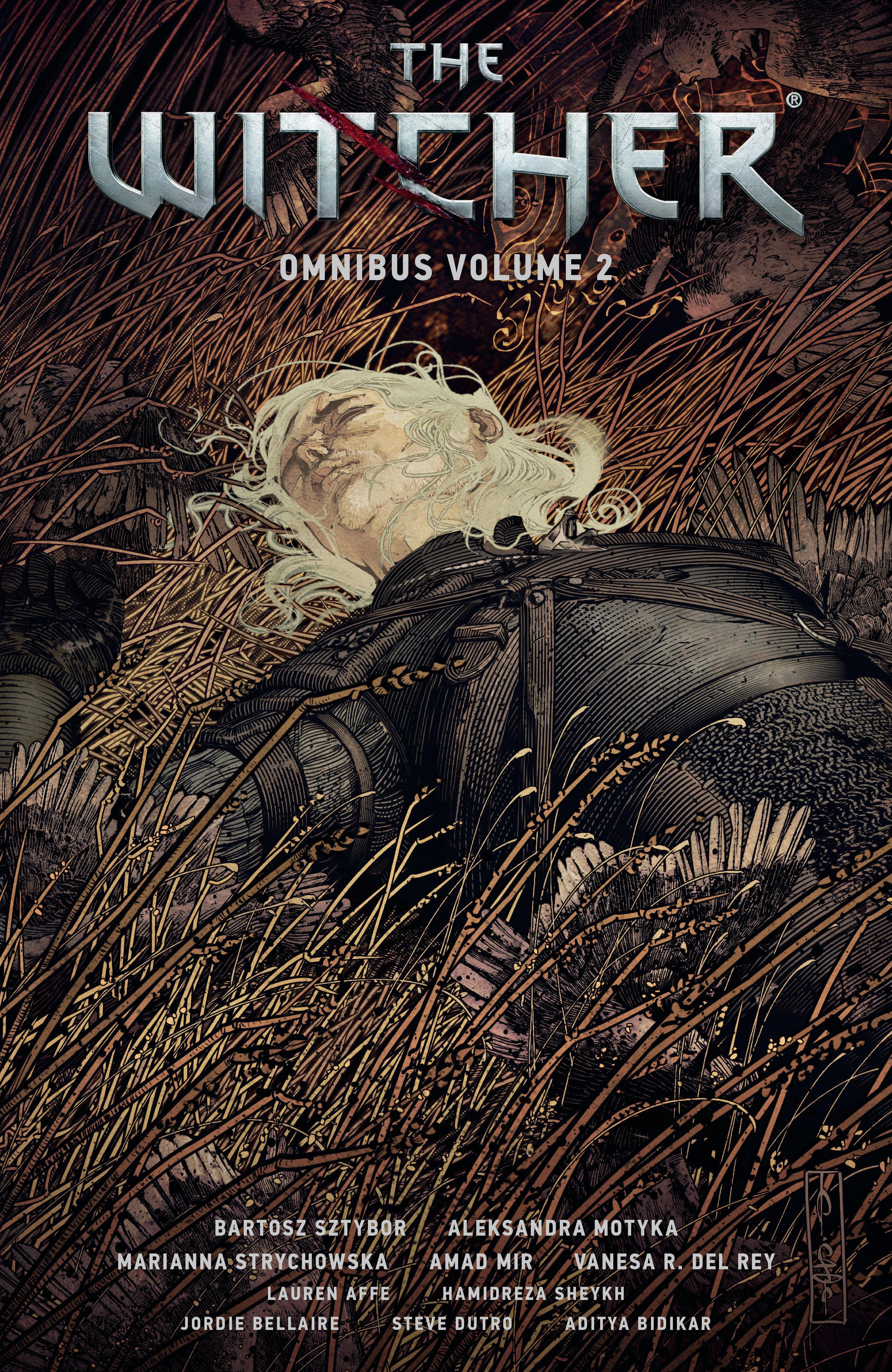 Vorderes Coverbild The Witcher Omnibus Volume 2