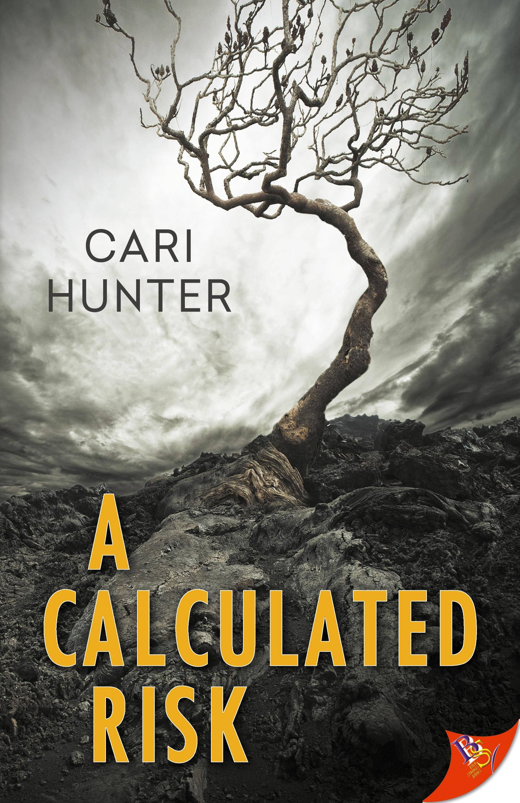 Vorderes Coverbild A Calculated Risk