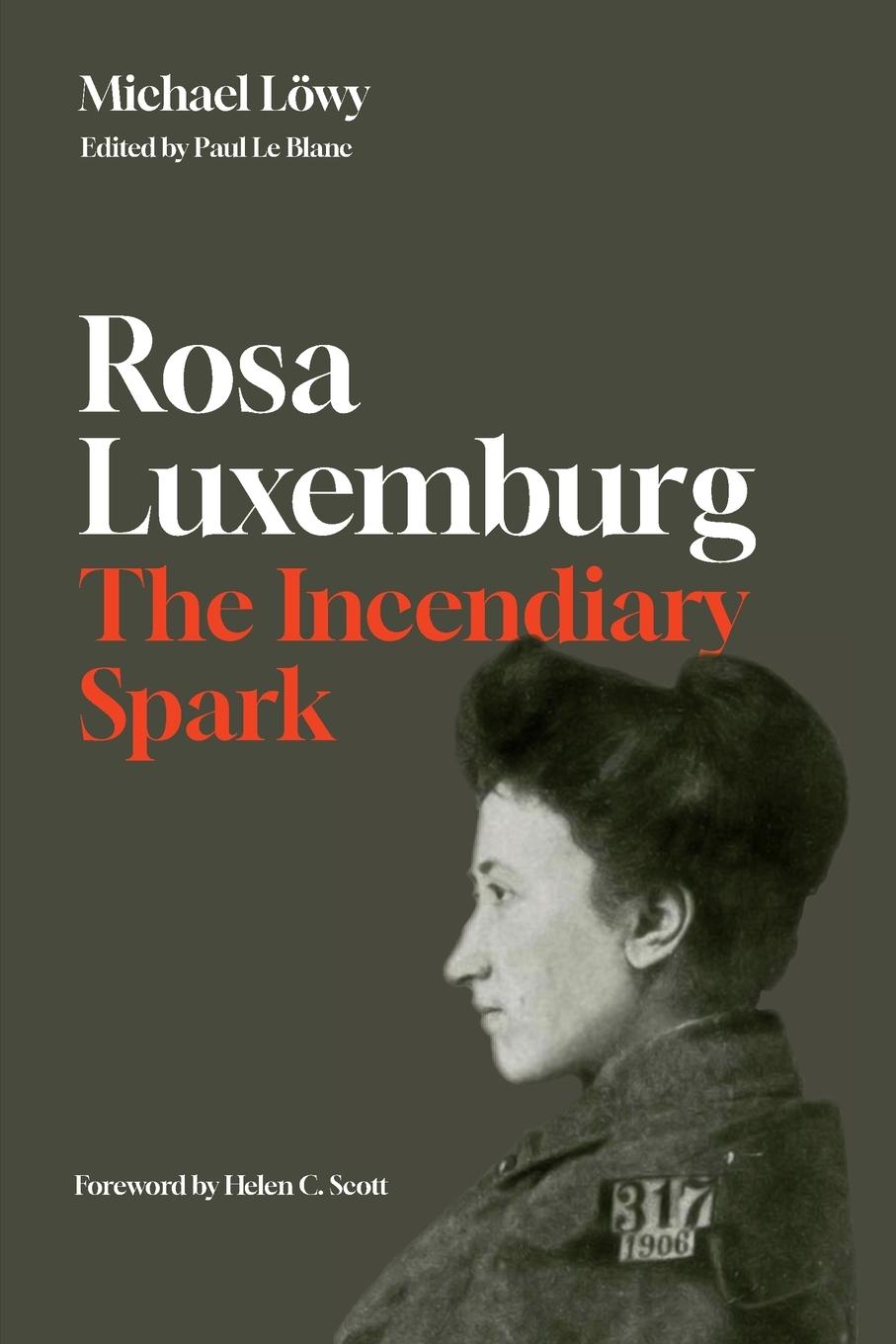 Vorderes Coverbild Rosa Luxemburg: The Incendiary Spark