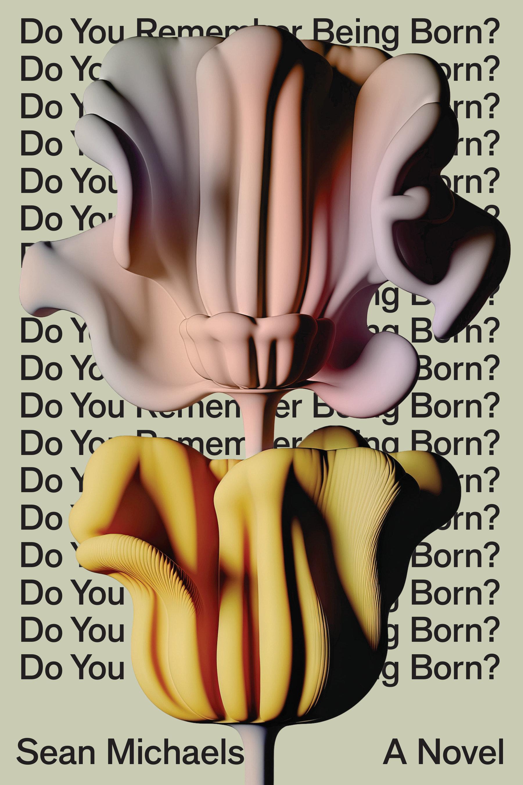 Vorderes Coverbild Do You Remember Being Born?