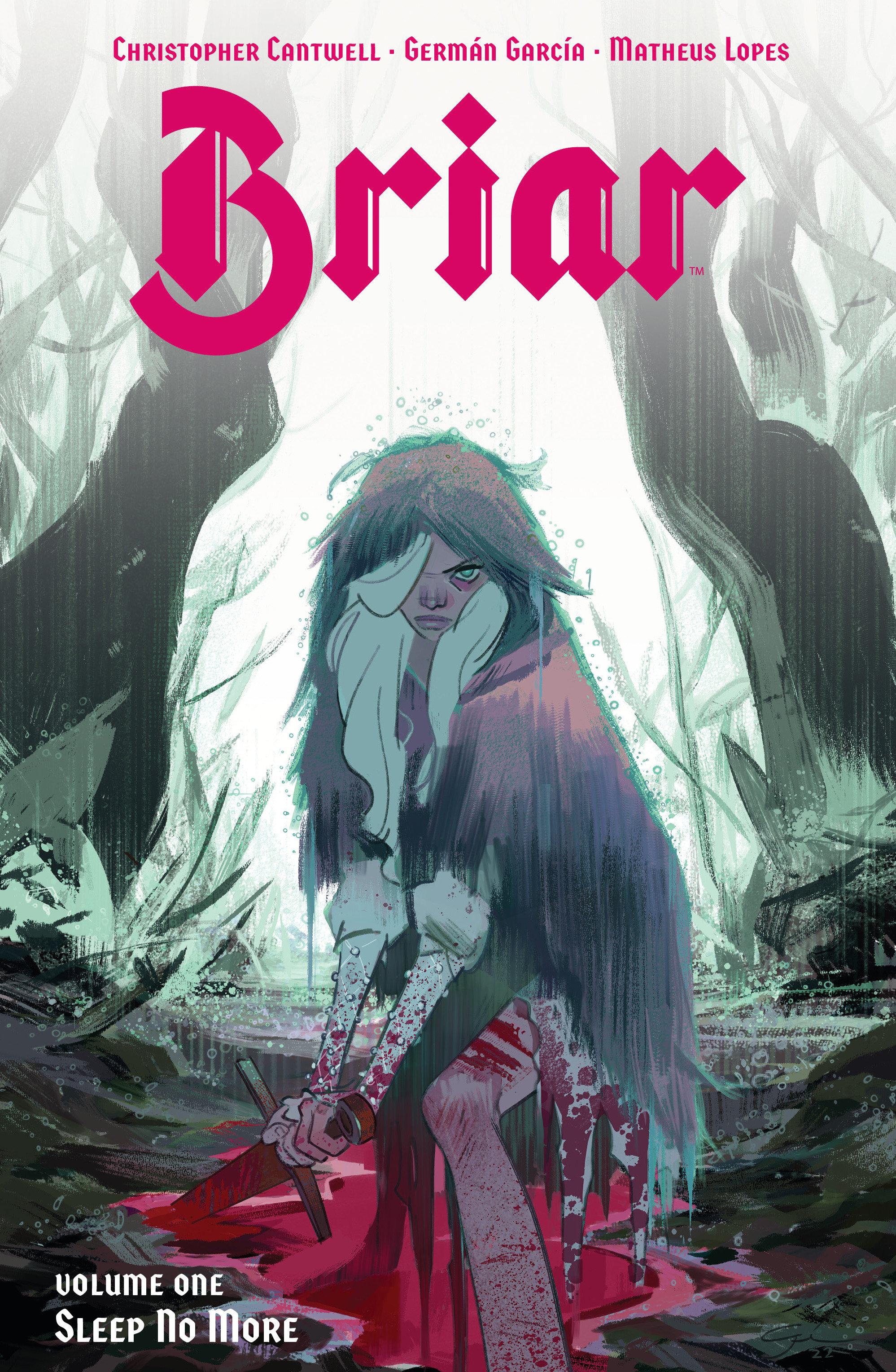 Vorderes Coverbild Briar Vol. 1