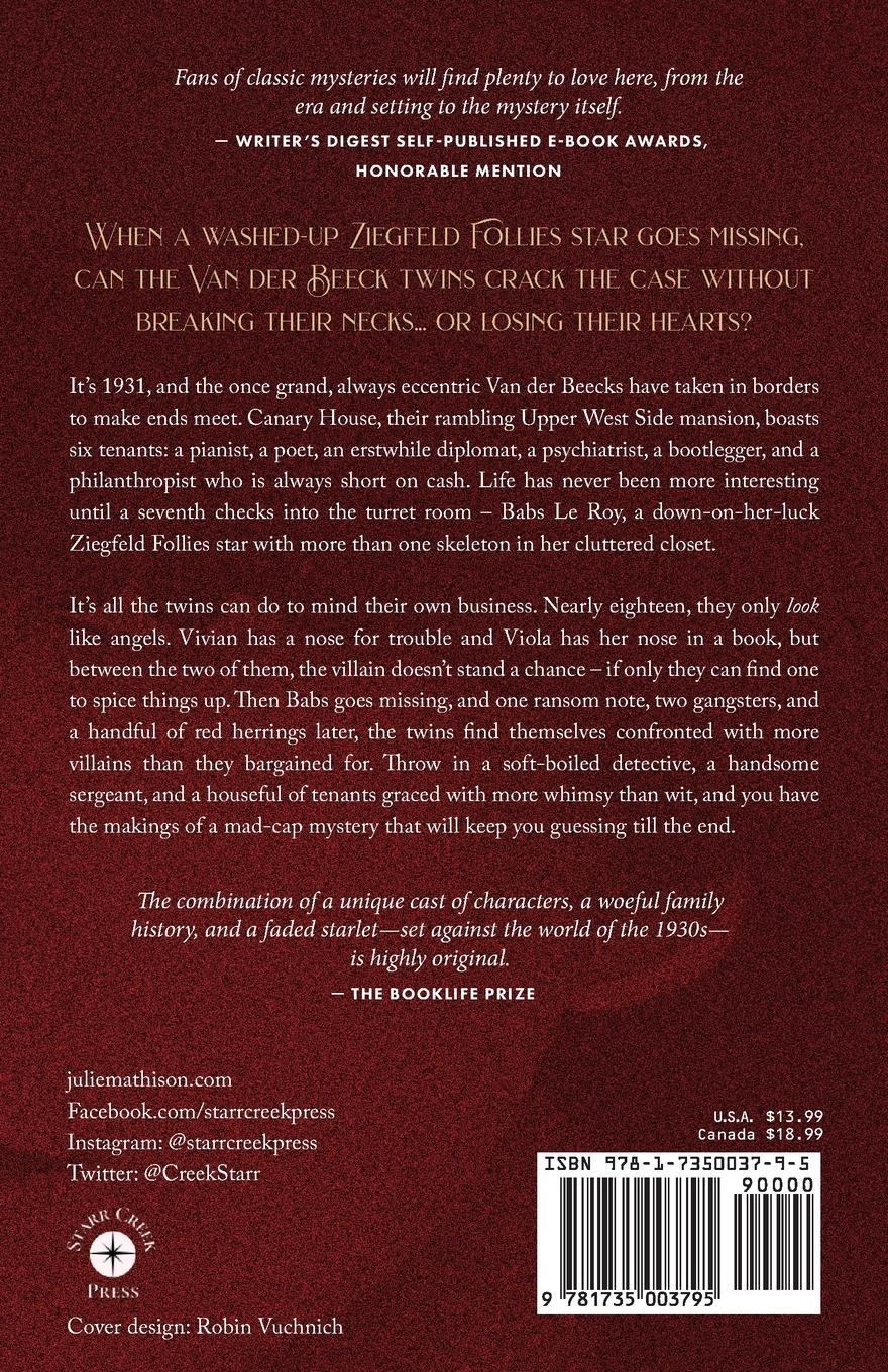 Rückseitencover The Starlet Letter