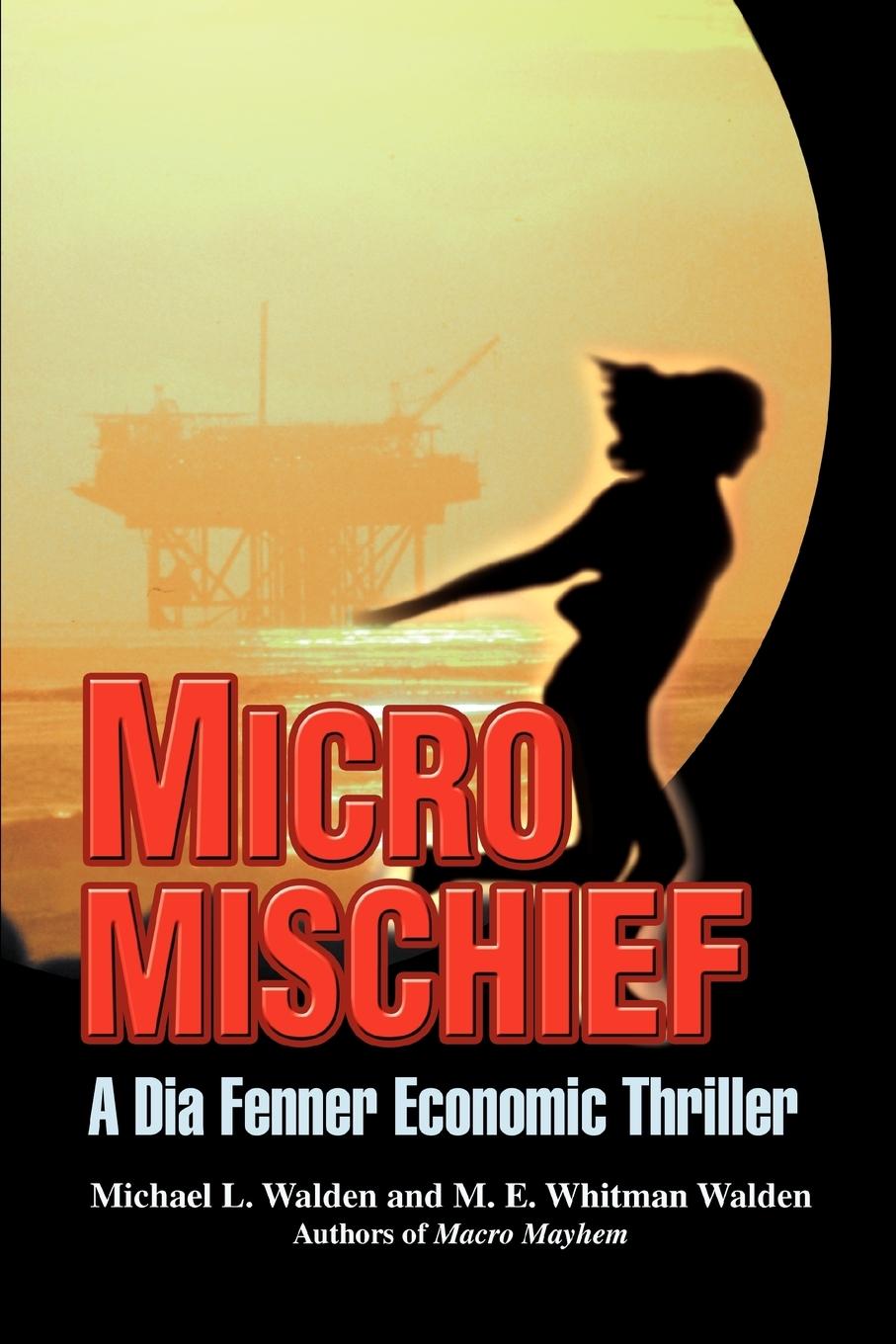 Vorderes Coverbild Micro Mischief