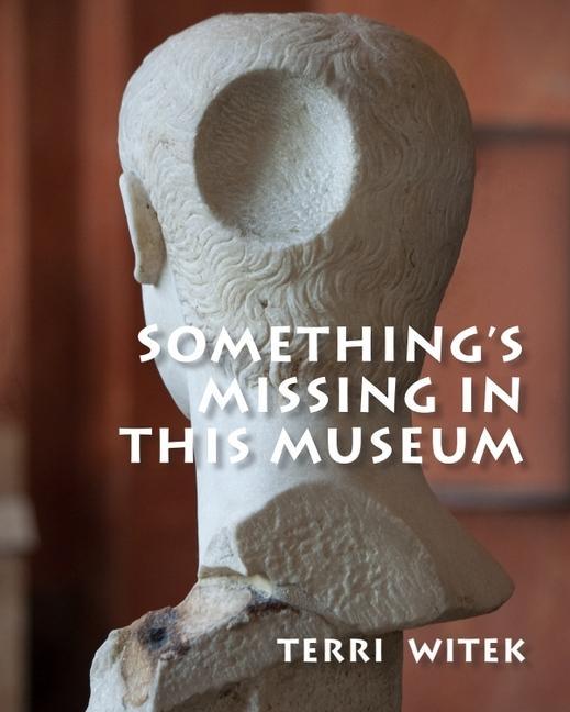 Vorderes Coverbild Something's Missing in This Museum
