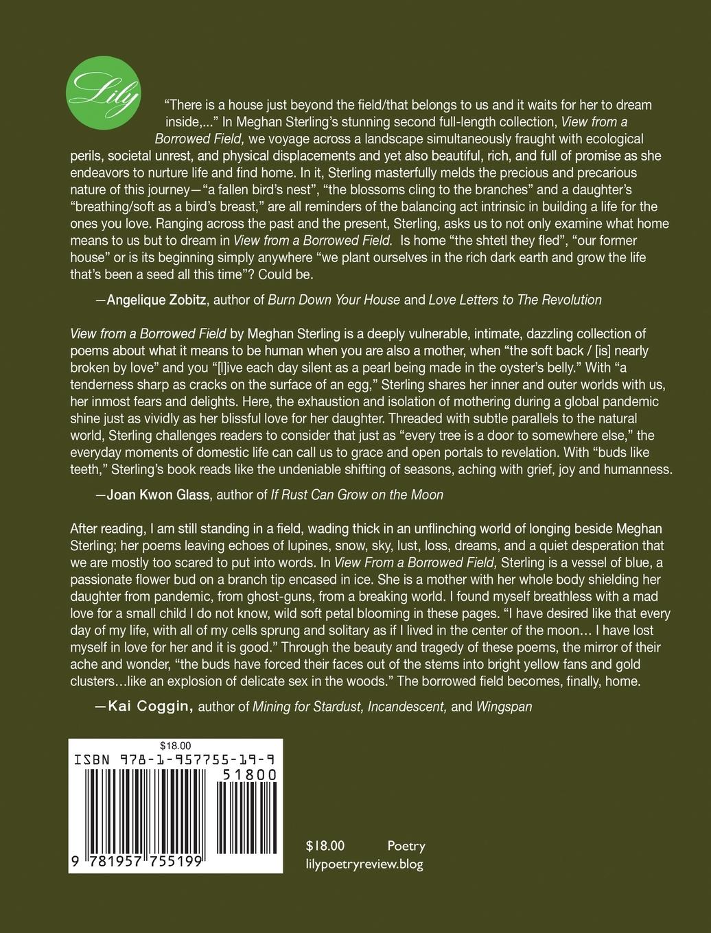 Rückseitencover View from a Borrowed Field