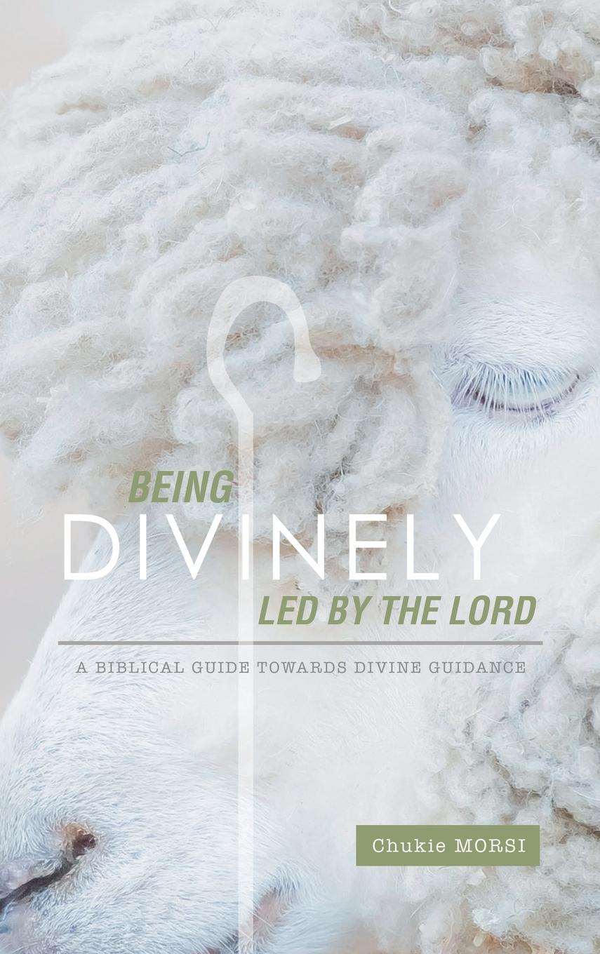 Vorderes Coverbild Being Divinely Led by the Lord