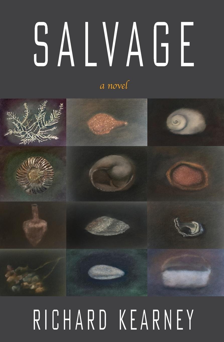 Vorderes Coverbild Salvage