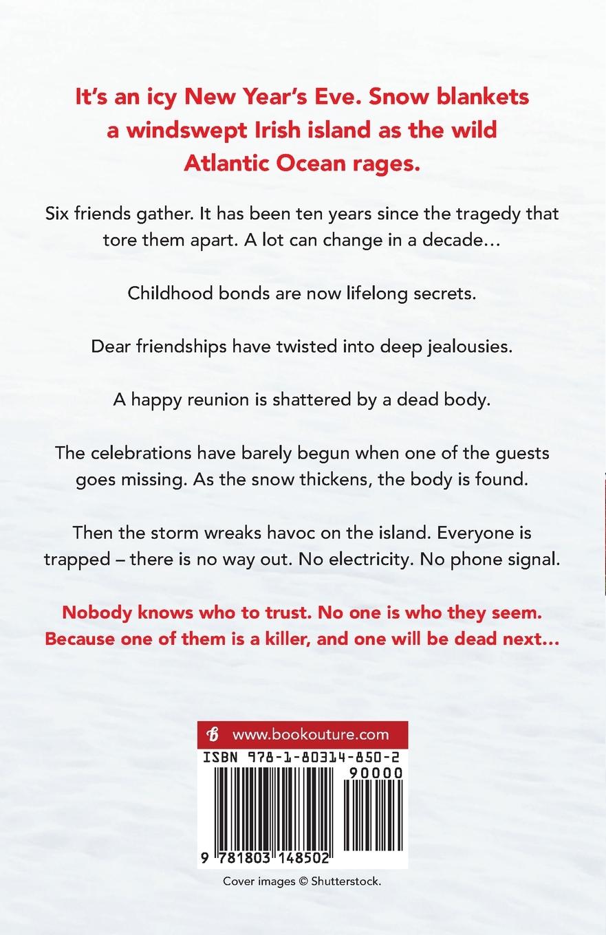 Rückseitencover The Snowstorm