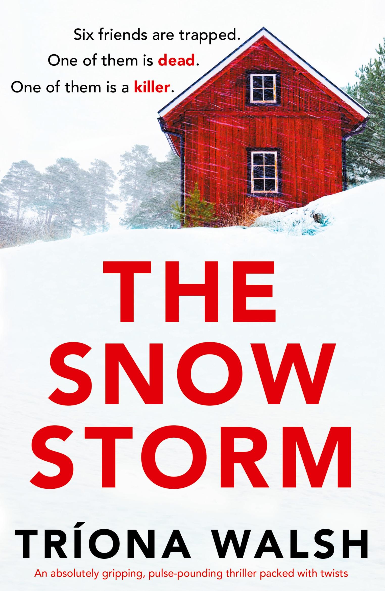 Vorderes Coverbild The Snowstorm