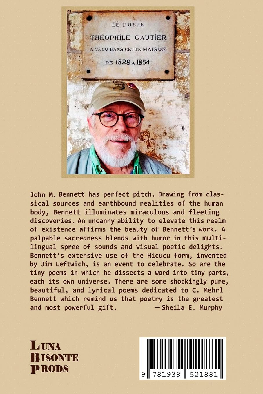 Rückseitencover PULMONÍA