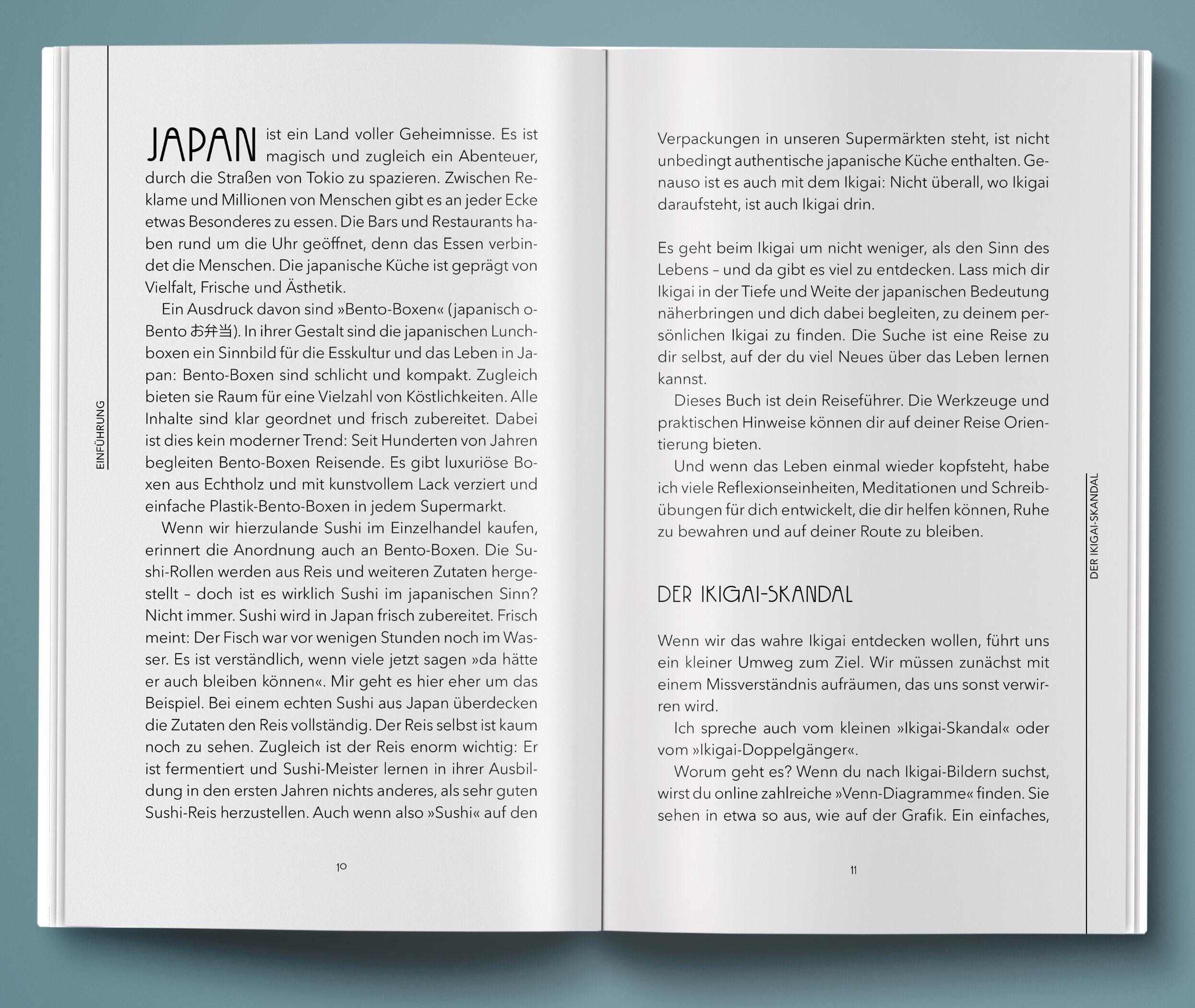 Beispielinhalt (Bild) Ikigai: Das Geheimnis der kleinen Dinge