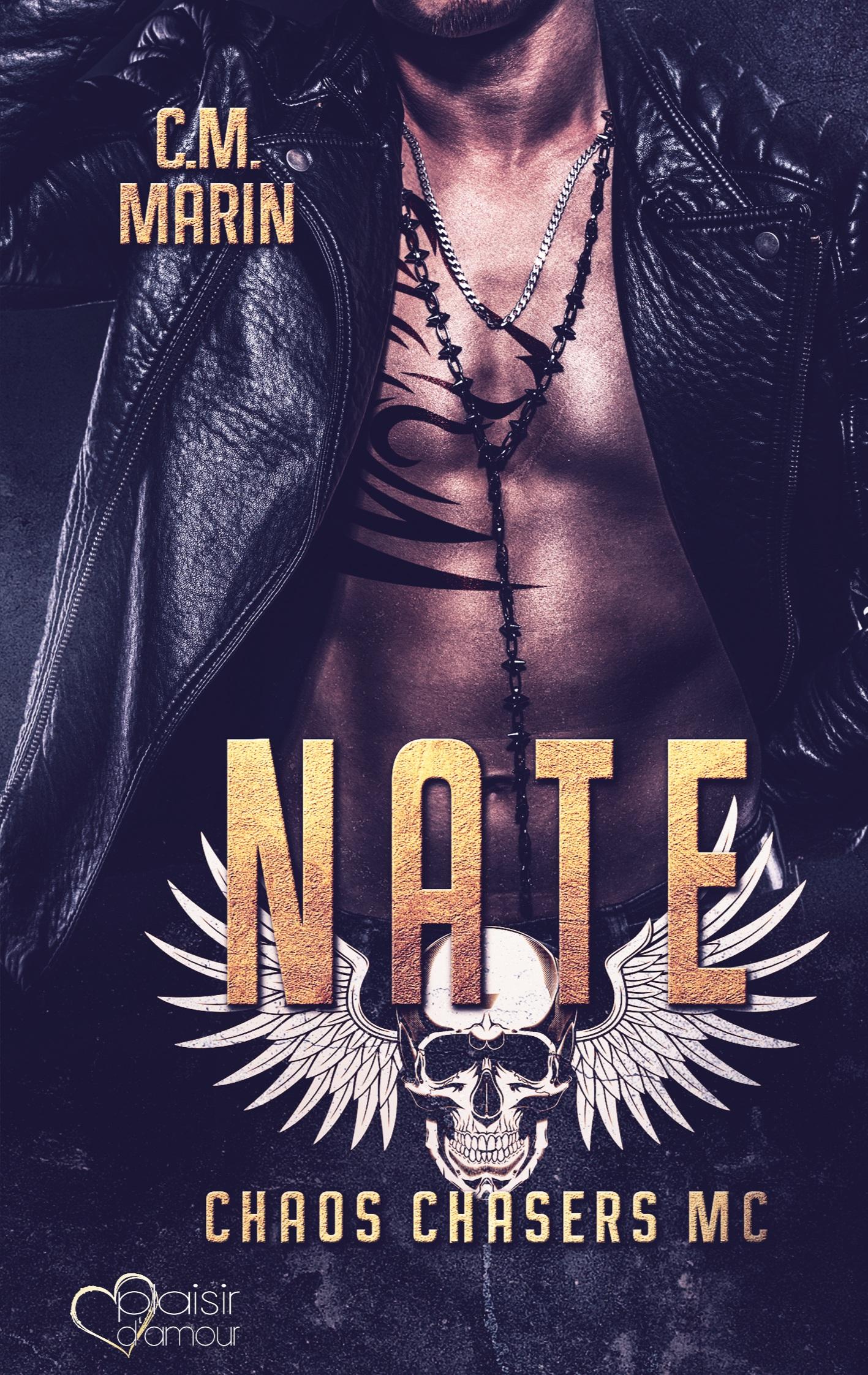 Vorderes Coverbild The Chaos Chasers MC: Nate