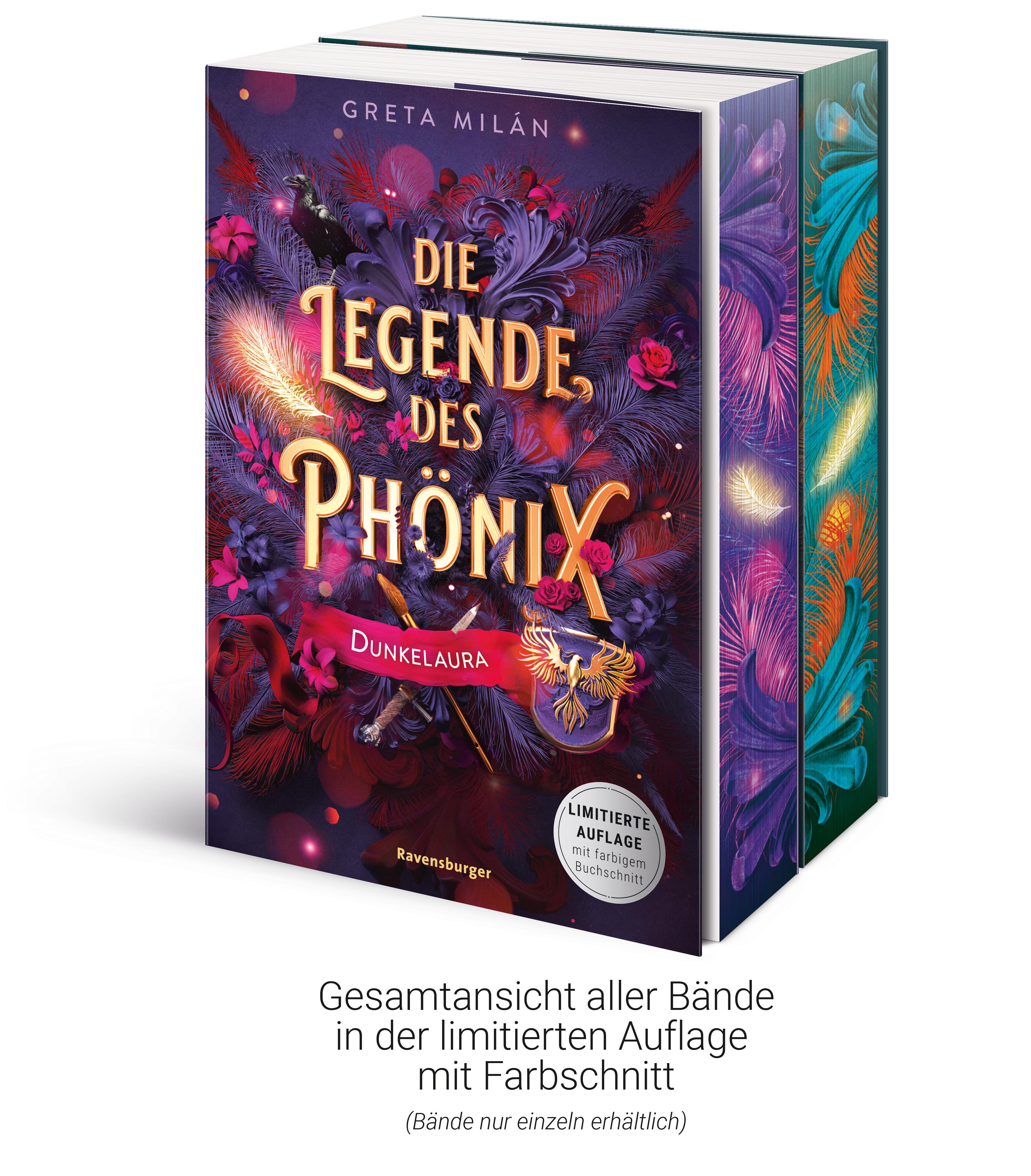 Beispielinhalt (Bild) Die Legende des Phönix, Band 1: Dunkelaura