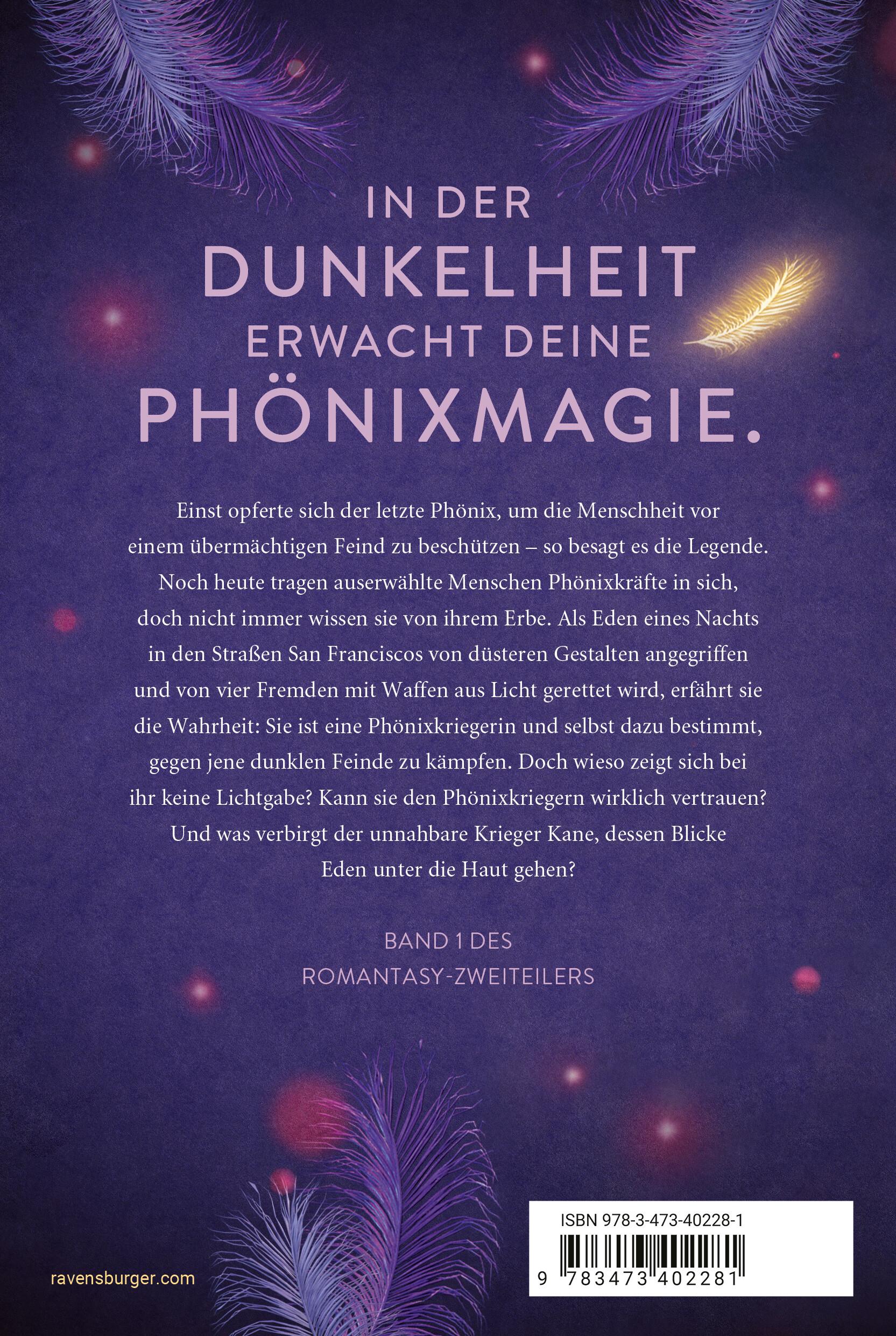 Rückseitencover Die Legende des Phönix, Band 1: Dunkelaura