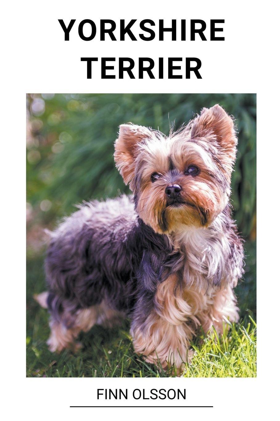 Vorderes Coverbild Yorkshire Terrier