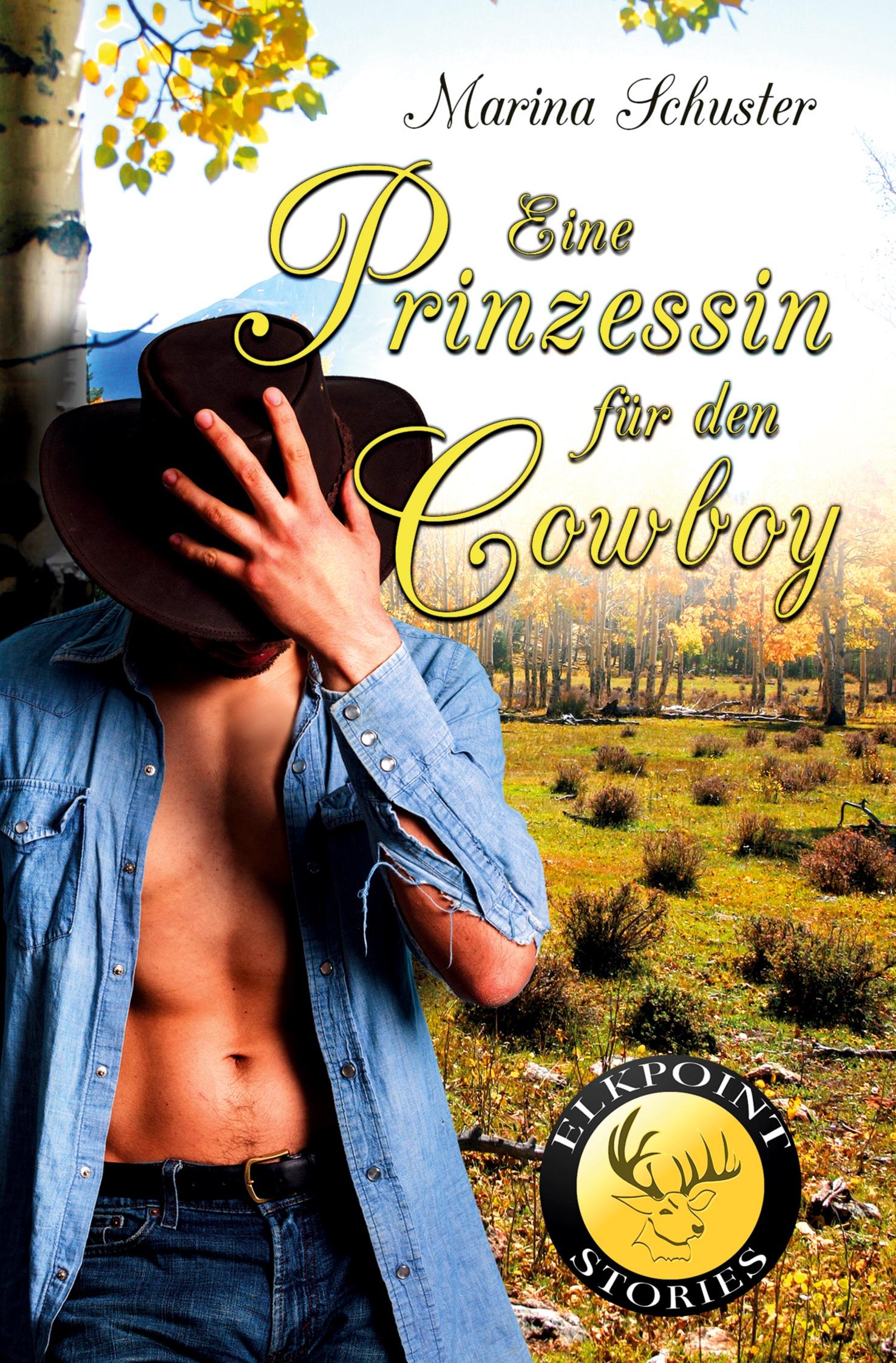 Vorderes Coverbild Eine Prinzessin für den Cowboy