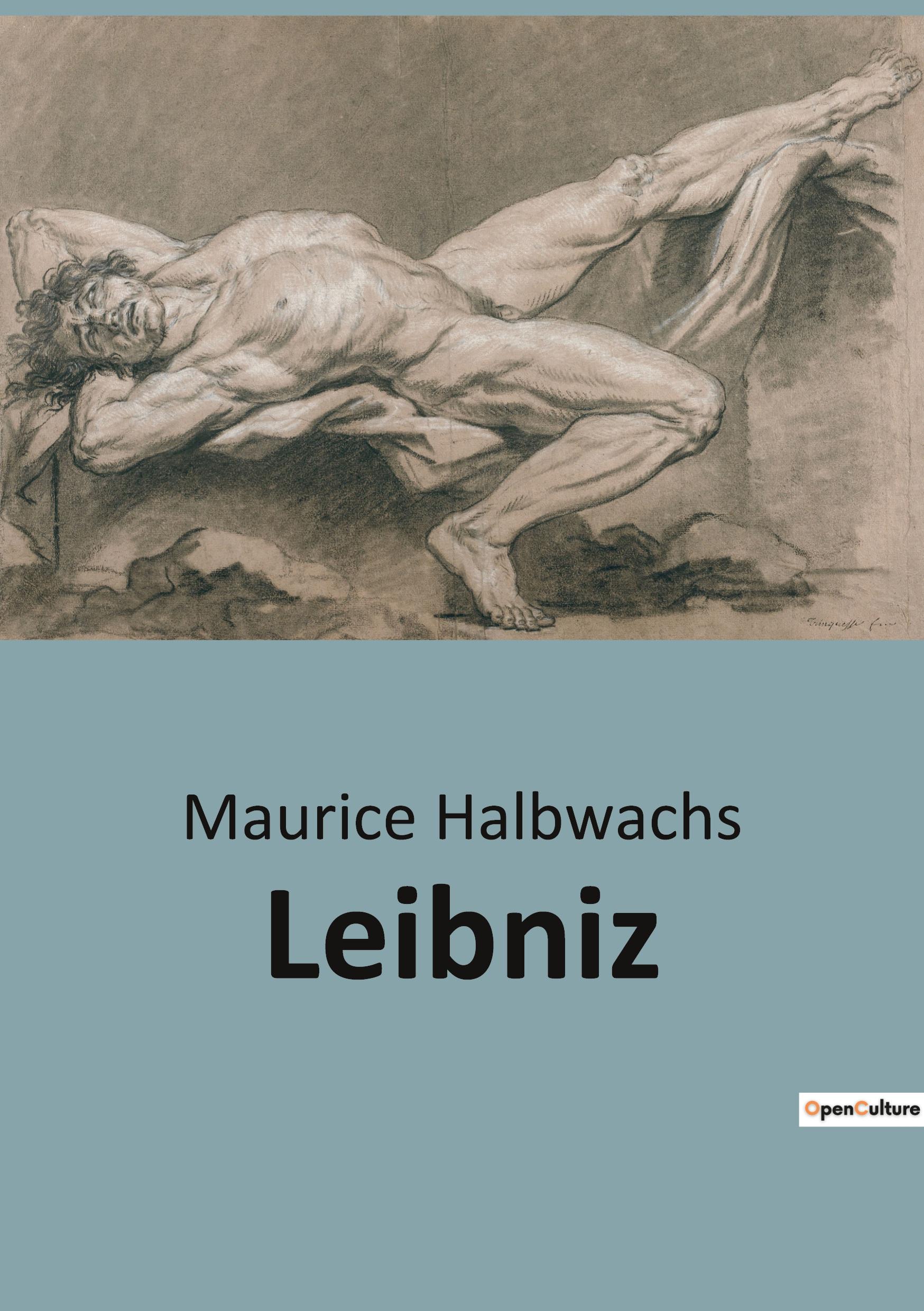 Vorderes Coverbild Leibniz