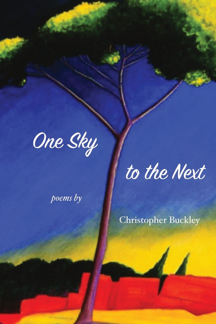 Vorderes Coverbild One Sky to the Next