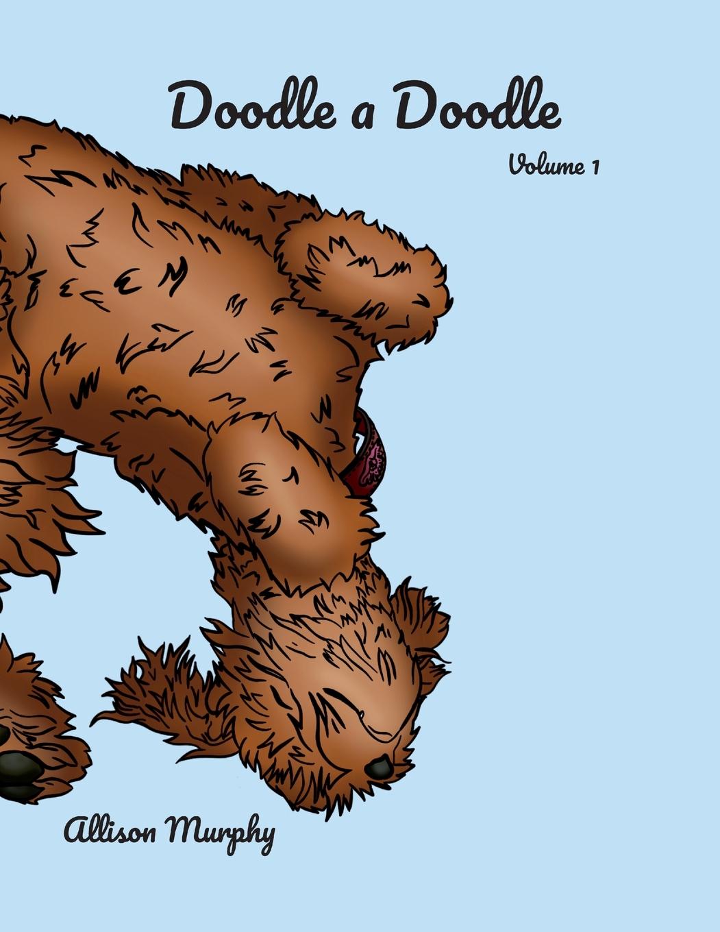 Vorderes Coverbild Doodle a Doodle