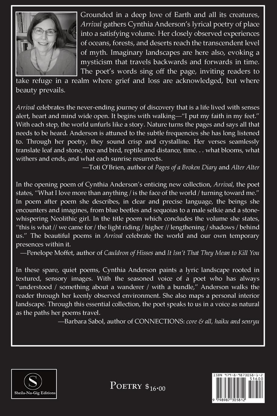 Rückseitencover Arrival