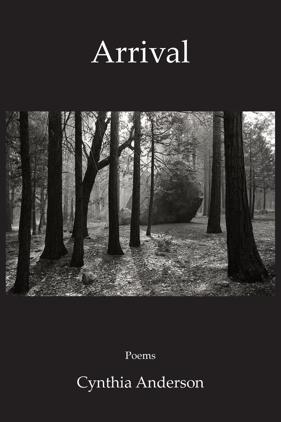 Vorderes Coverbild Arrival