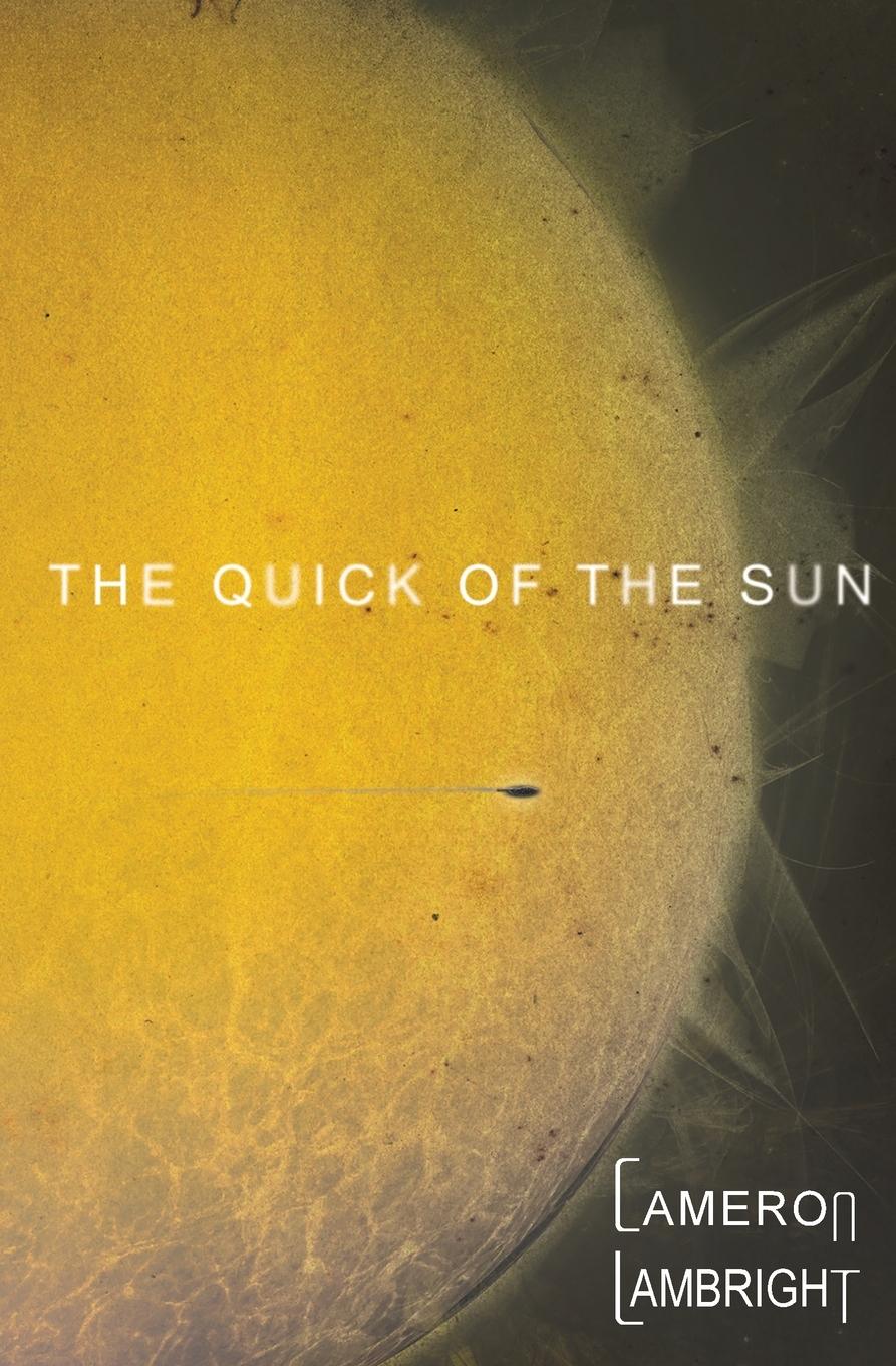Vorderes Coverbild The Quick of the Sun