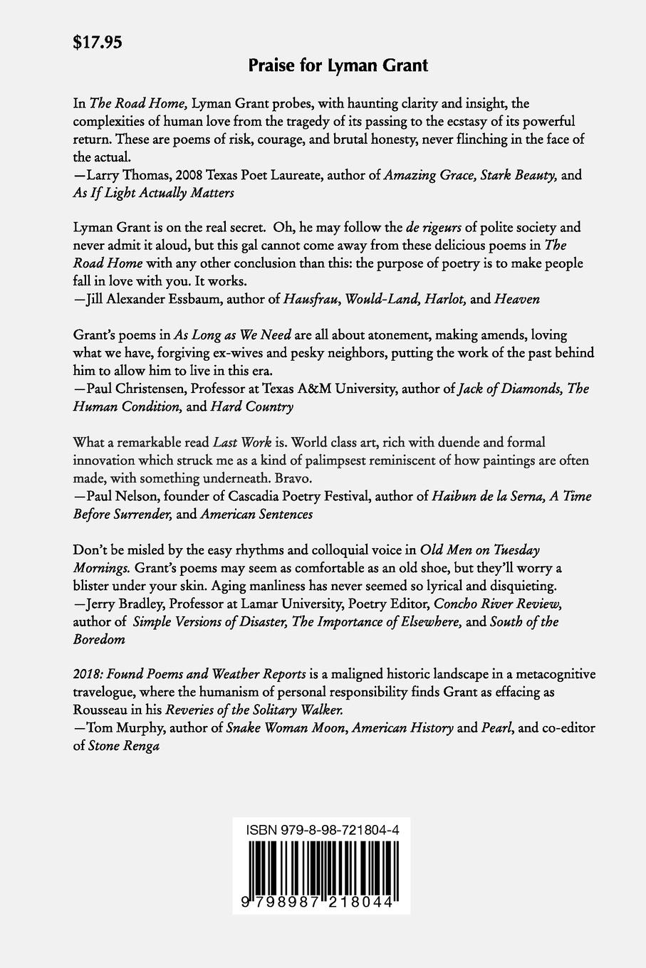 Rückseitencover Symptom and Desire