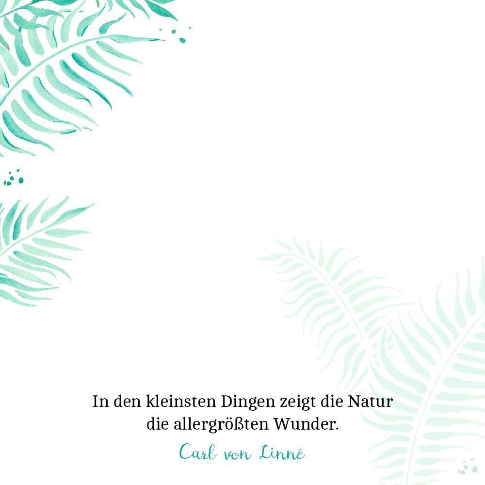 Beispielinhalt (Bild) Zettelkästchen