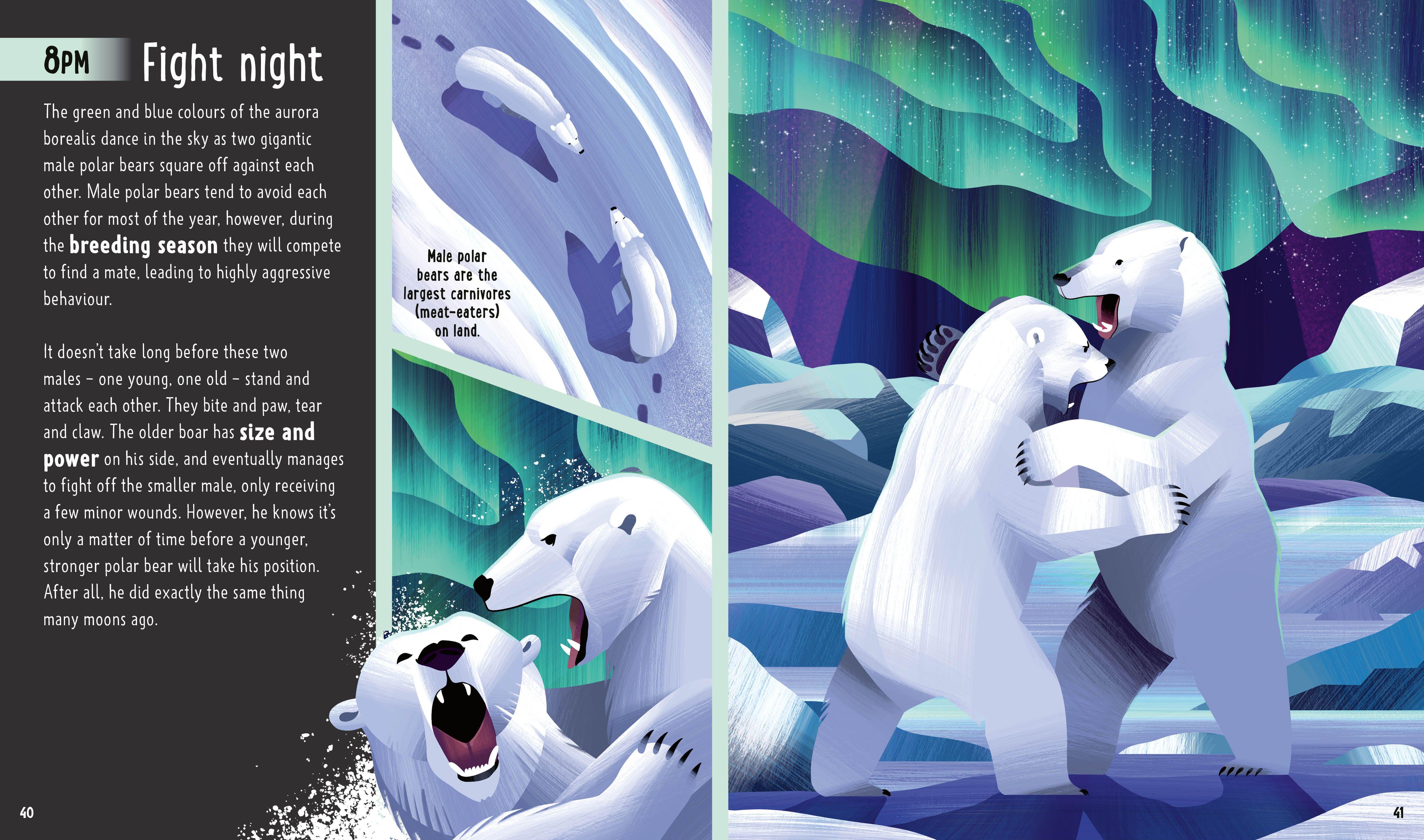 Beispielinhalt (Bild) Bears (A Day in the Life)