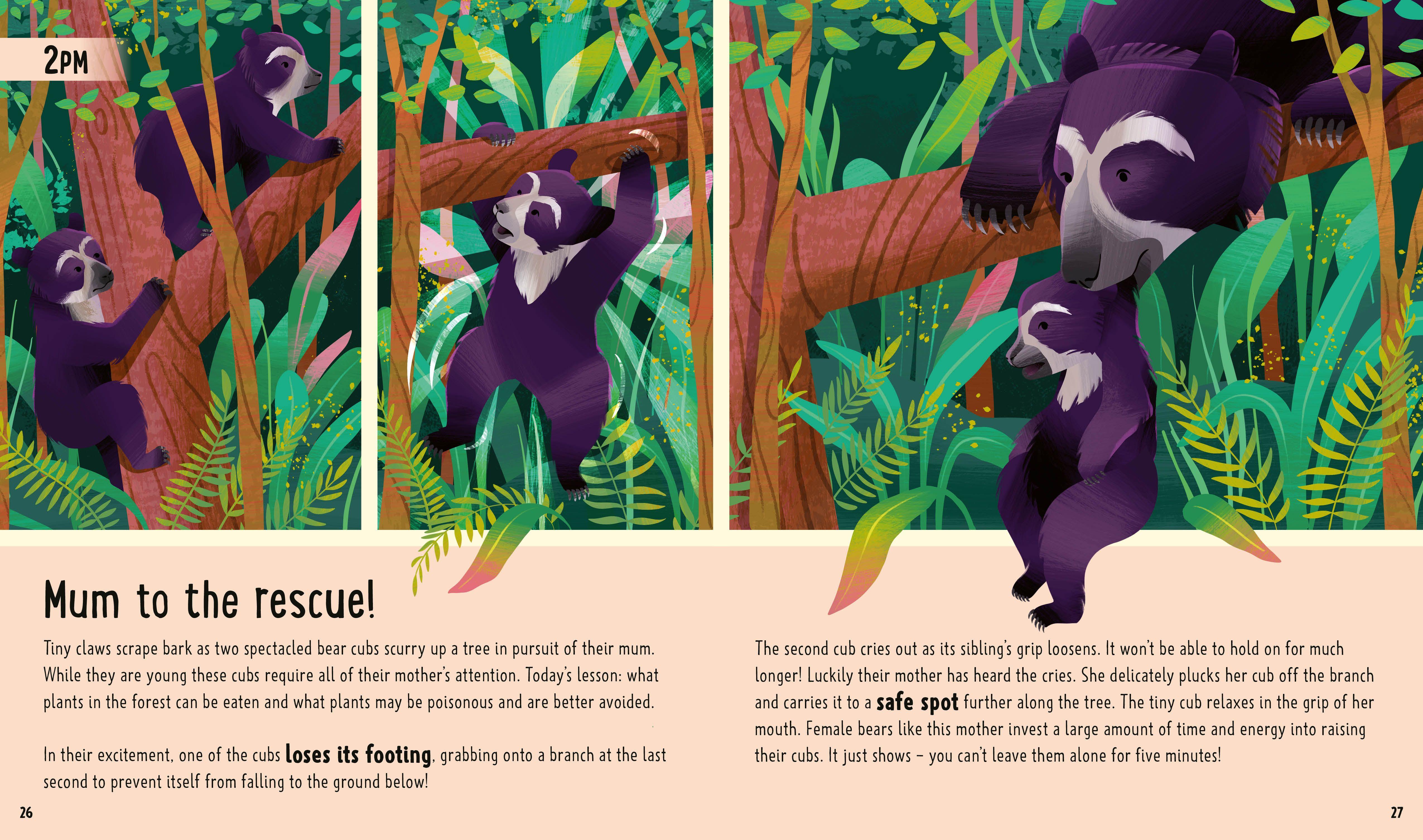 Beispielinhalt (Bild) Bears (A Day in the Life)