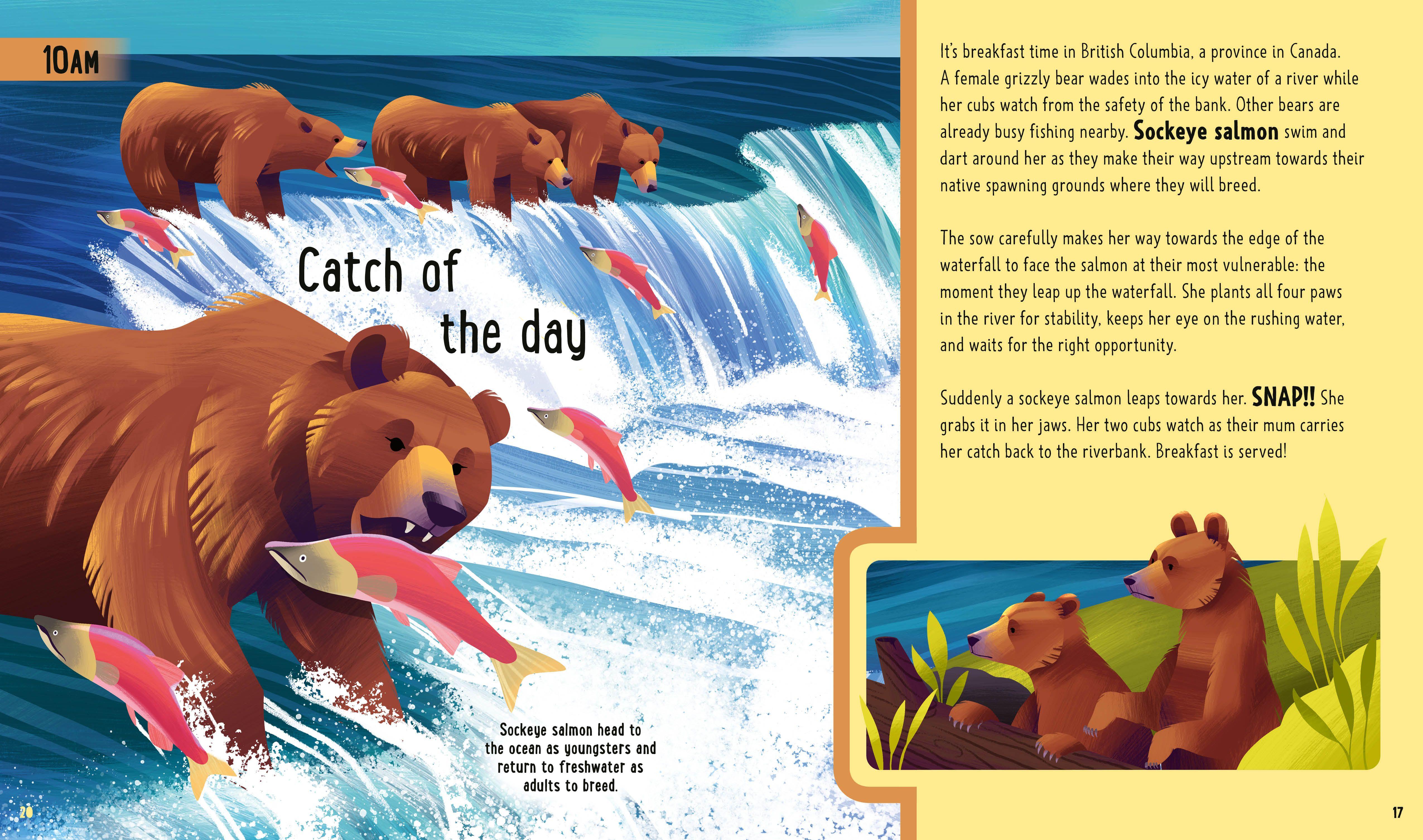 Beispielinhalt (Bild) Bears (A Day in the Life)