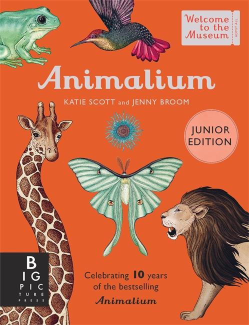 Vorderes Coverbild Animalium (Junior Edition)