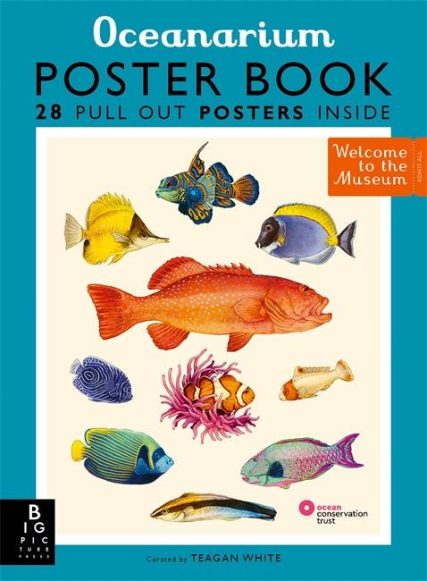Vorderes Coverbild Oceanarium Poster Book