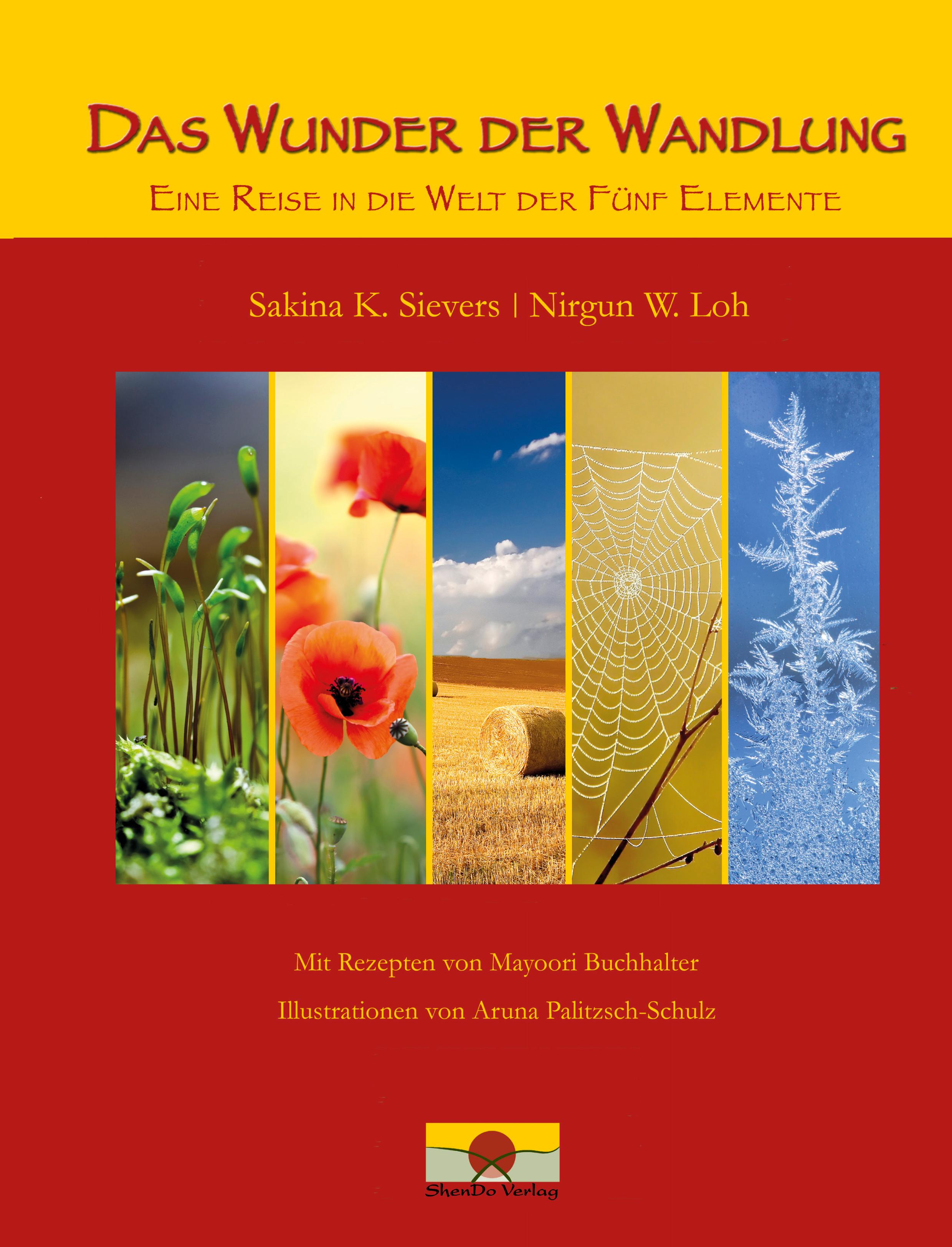 Vorderes Coverbild Das Wunder der Wandlung