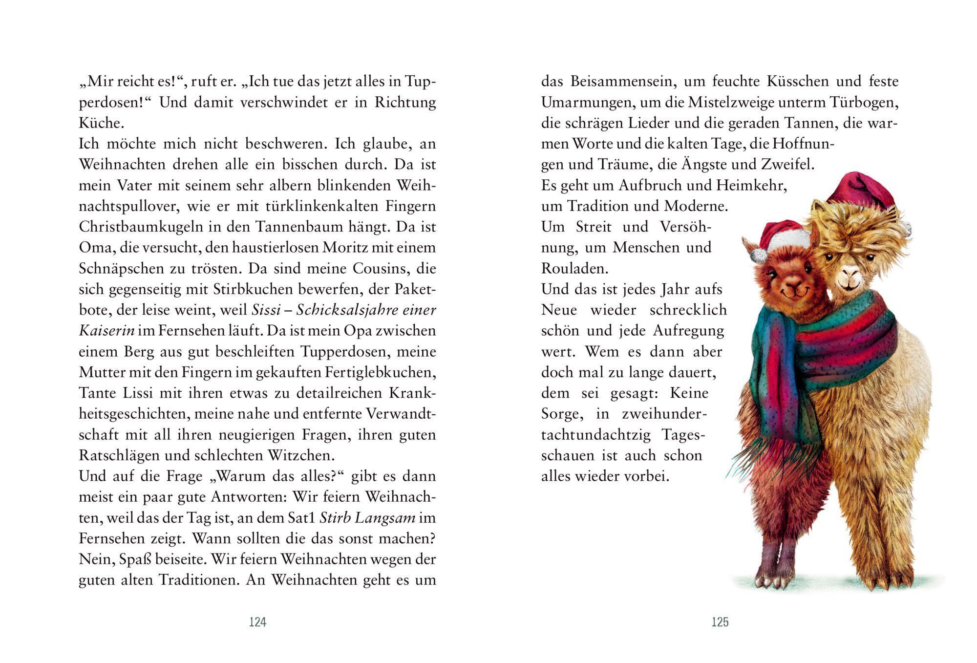 Beispielinhalt (Bild) Kein Glühwein ist auch keine Lösung!