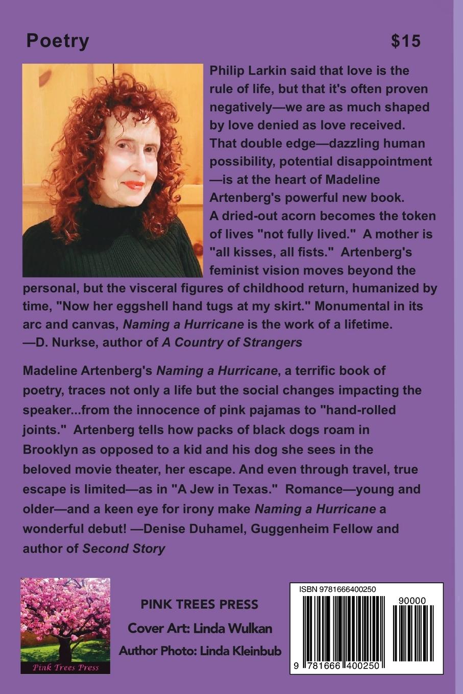 Rückseitencover Naming a Hurricane