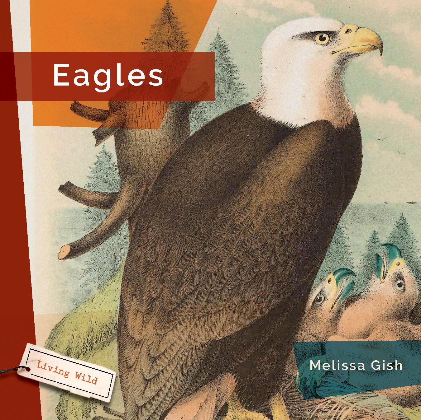 Vorderes Coverbild Eagles