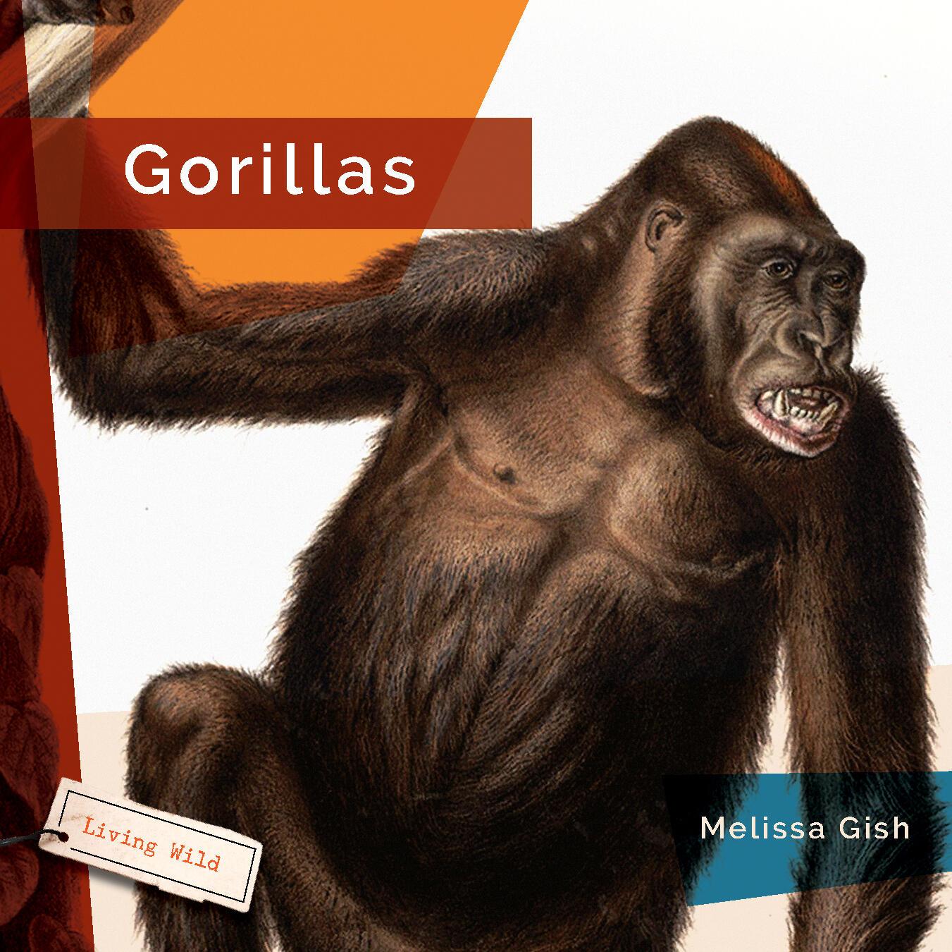 Vorderes Coverbild Gorillas