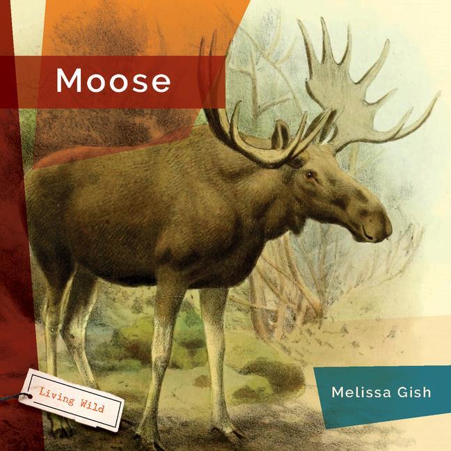 Vorderes Coverbild Moose