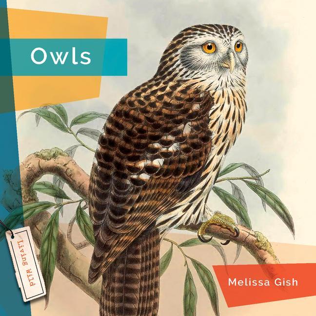 Vorderes Coverbild Owls