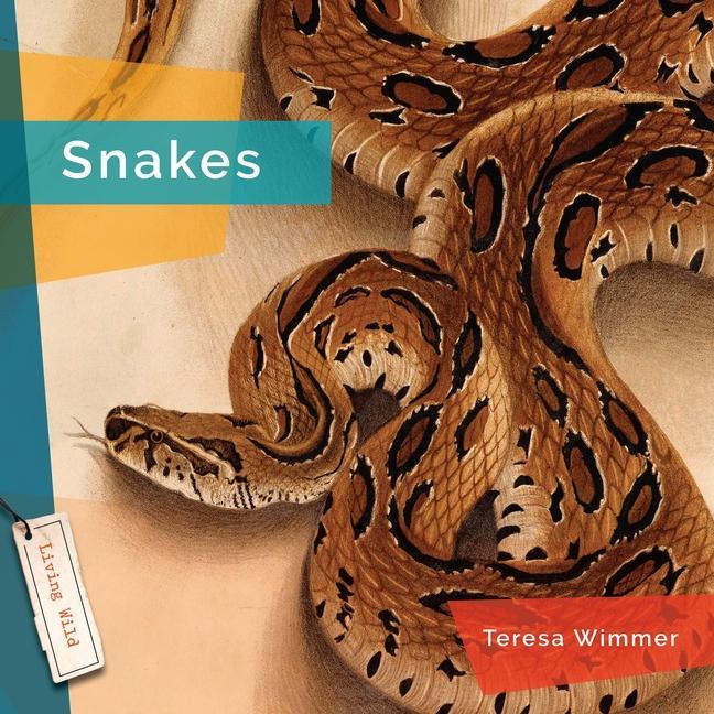 Vorderes Coverbild Snakes