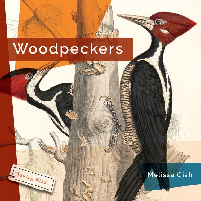 Vorderes Coverbild Woodpeckers