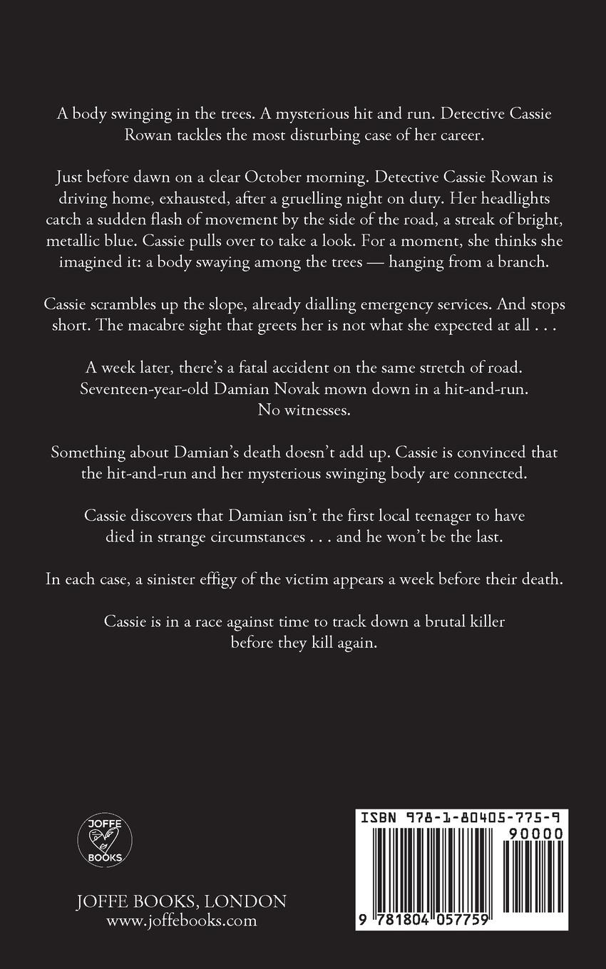 Rückseitencover THE SCARECROW KILLER an unputdownable crime thriller full of twists