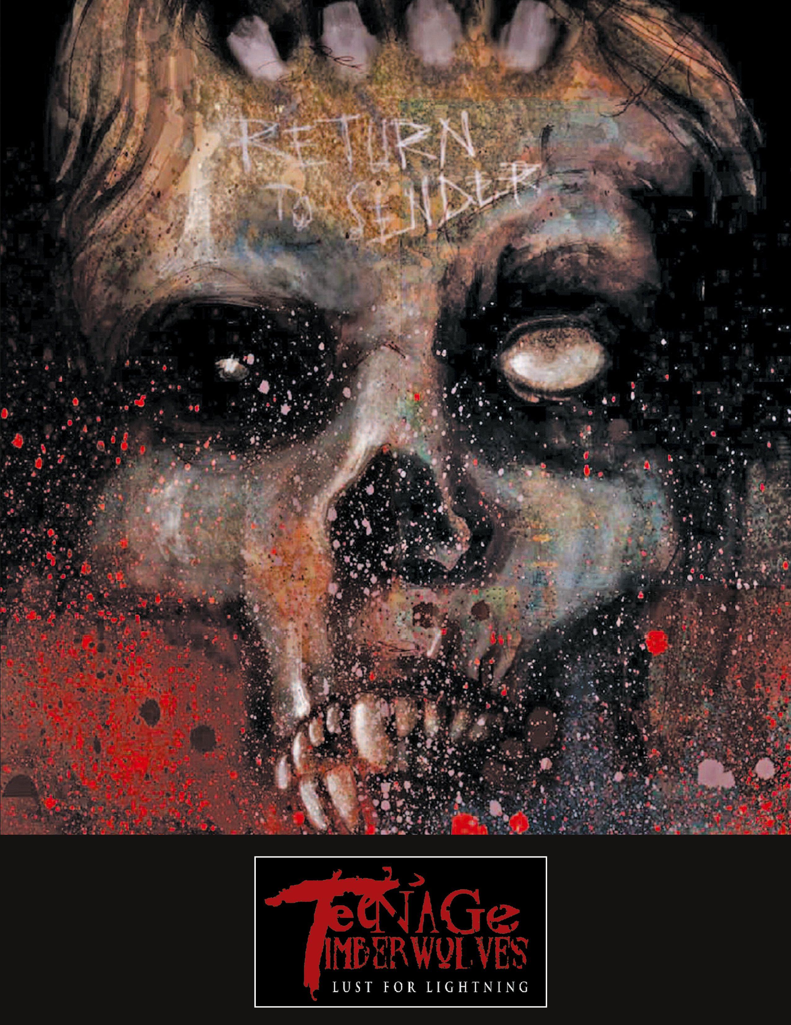 Vorderes Coverbild TEENAGE TIMBERWOLVES